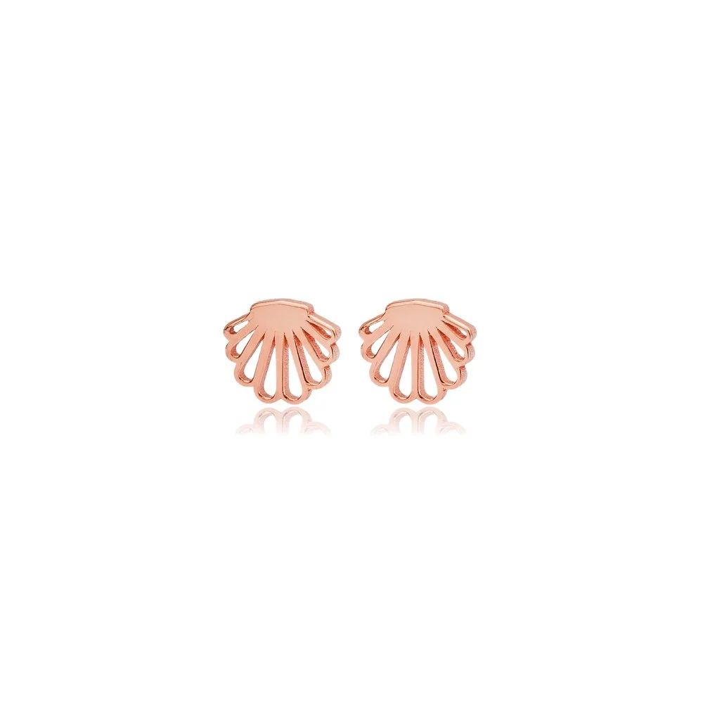 Shell Earrings