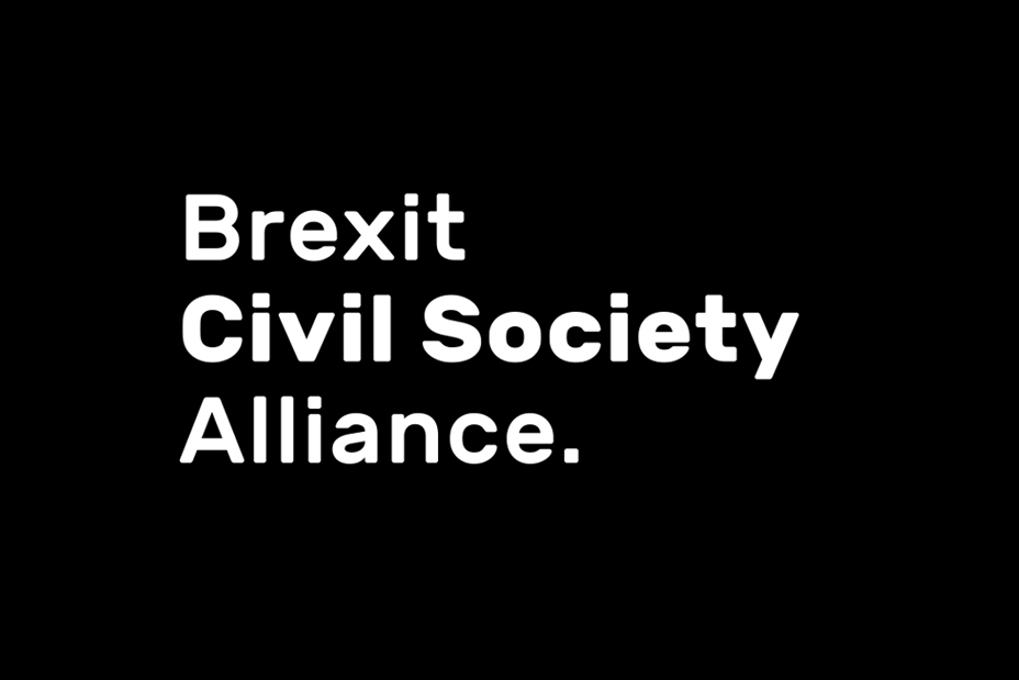 + BREXIT CIVIL SOCIETY ALLIANCE - Identity &amp; Website