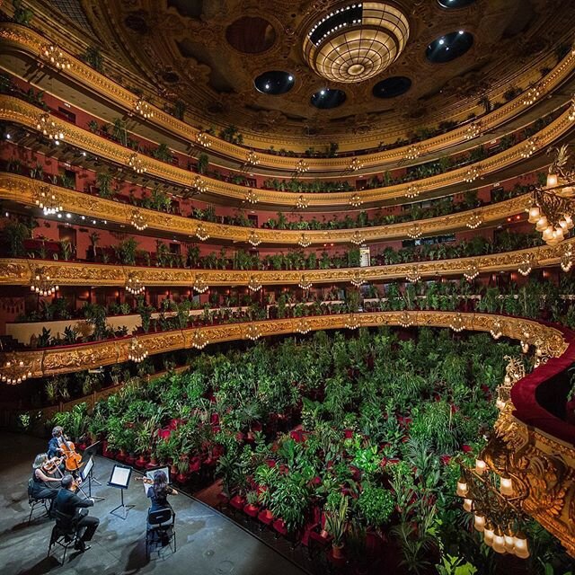 🔺TRI-THIS🔺 Virtually join 2,292 plants for the first performance back at Barcelona&rsquo;s Liceu opera house&hellip;🌱🎻 A string quartet performed Puccini to the potted plants before they were donated to 2,292 health workers. &ldquo;At a time when