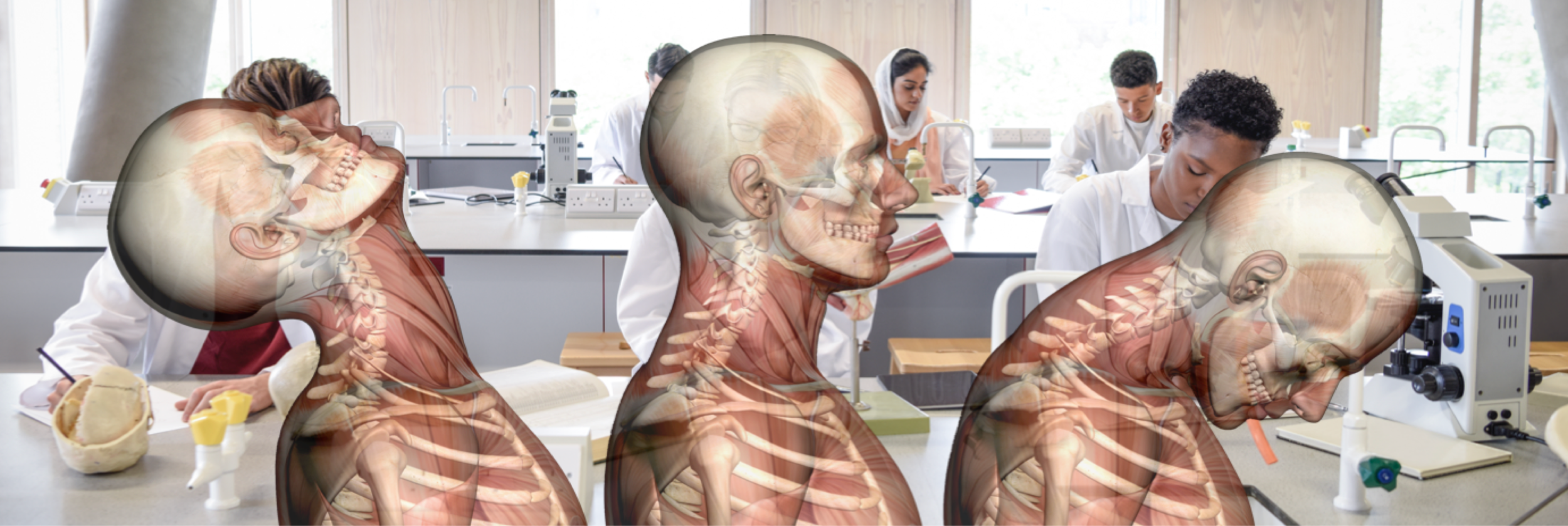 lab.png