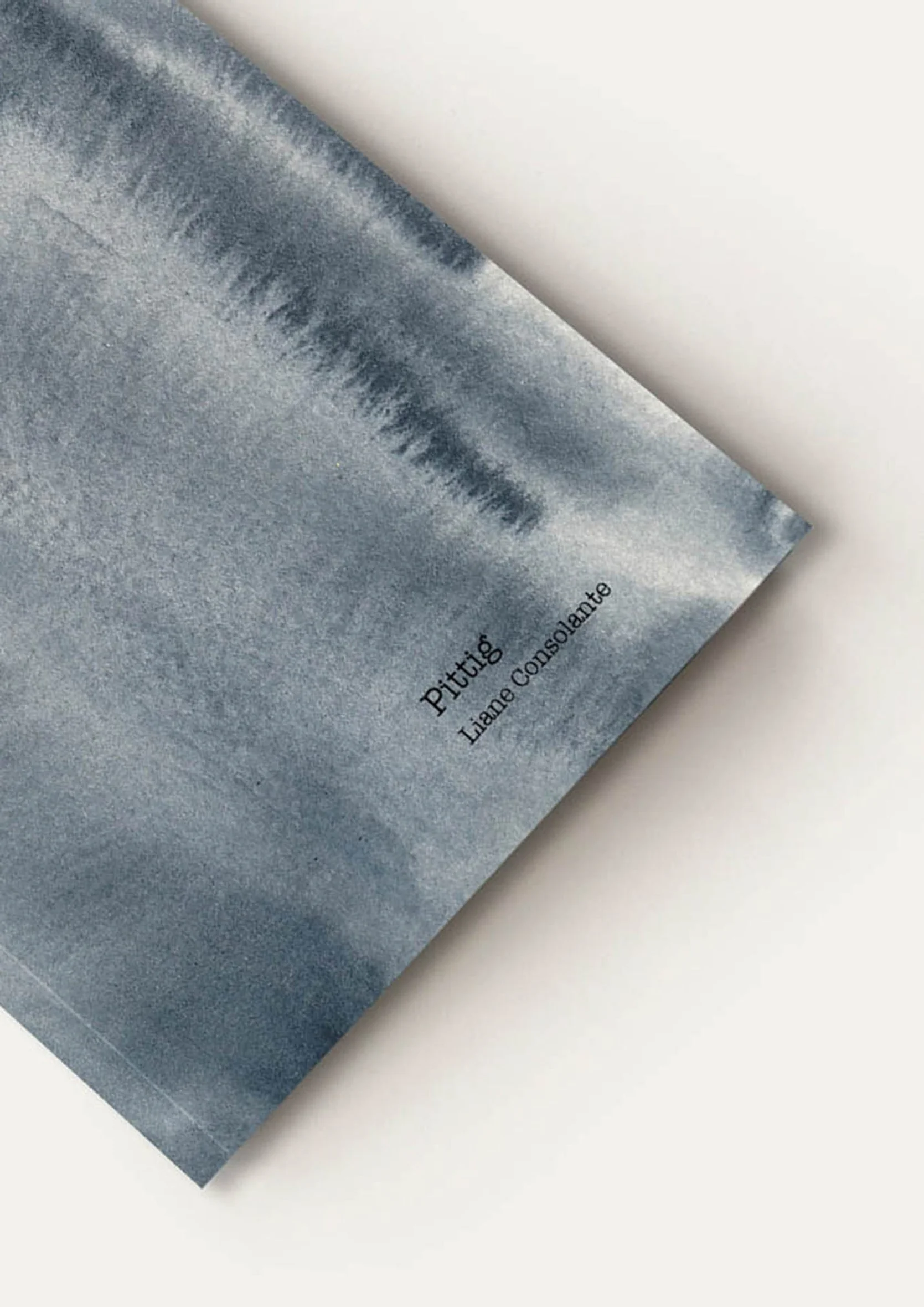 Poeticara_Pittig & Prachtig_detail 1b.jpg