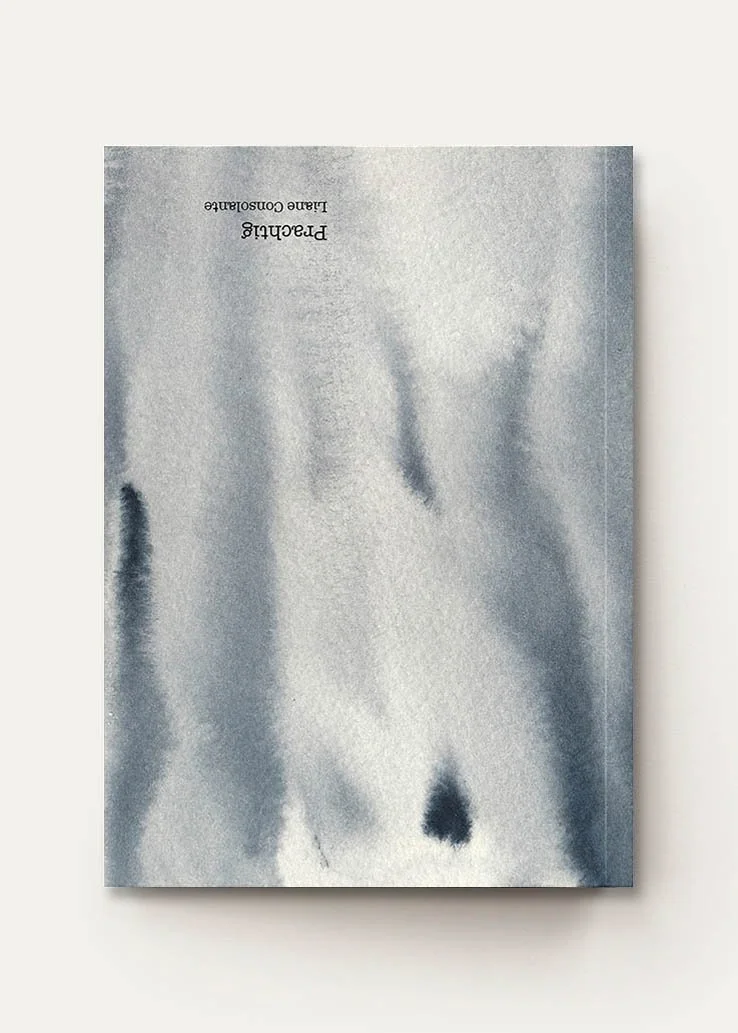 Poeticara_Pittig & Prachtig_kaft achter 2b.jpg