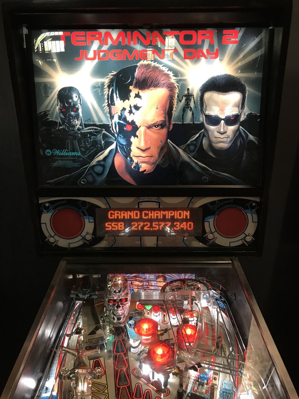 Terminator 2 Pinball Machine by Williams - The Pinball Gameroom