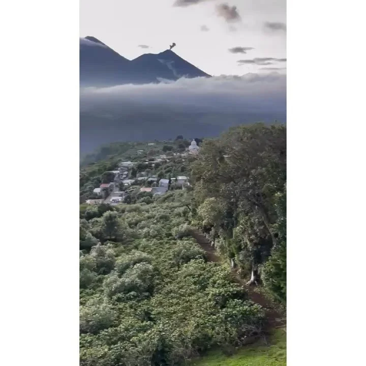 Peek-a-boo! 👻✨

The views from Guatemala and the vibes from Lencho are immaculate!! 🤌🏽✨💎

Swing in and grab a pound of washed Guatemala Finca Calimax! ✨

A rich body of milk chocolate and notes of almond and apple this bean holds the spirit of Gu