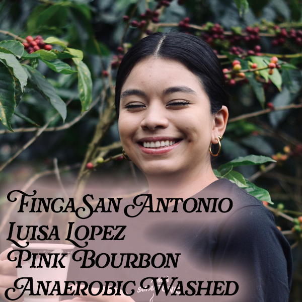 luisa lopez.png