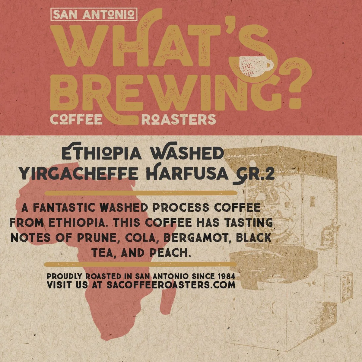 Ethiopia Washed Harfusa
