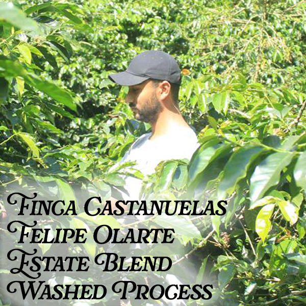 felipe olarte.png
