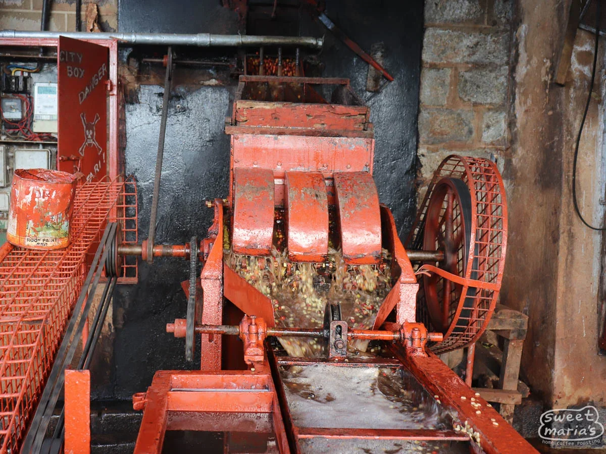 kenya-sweet-marias-nyeri-gathaithi-factory-1.webp