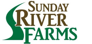 Logo-Sunday.gif