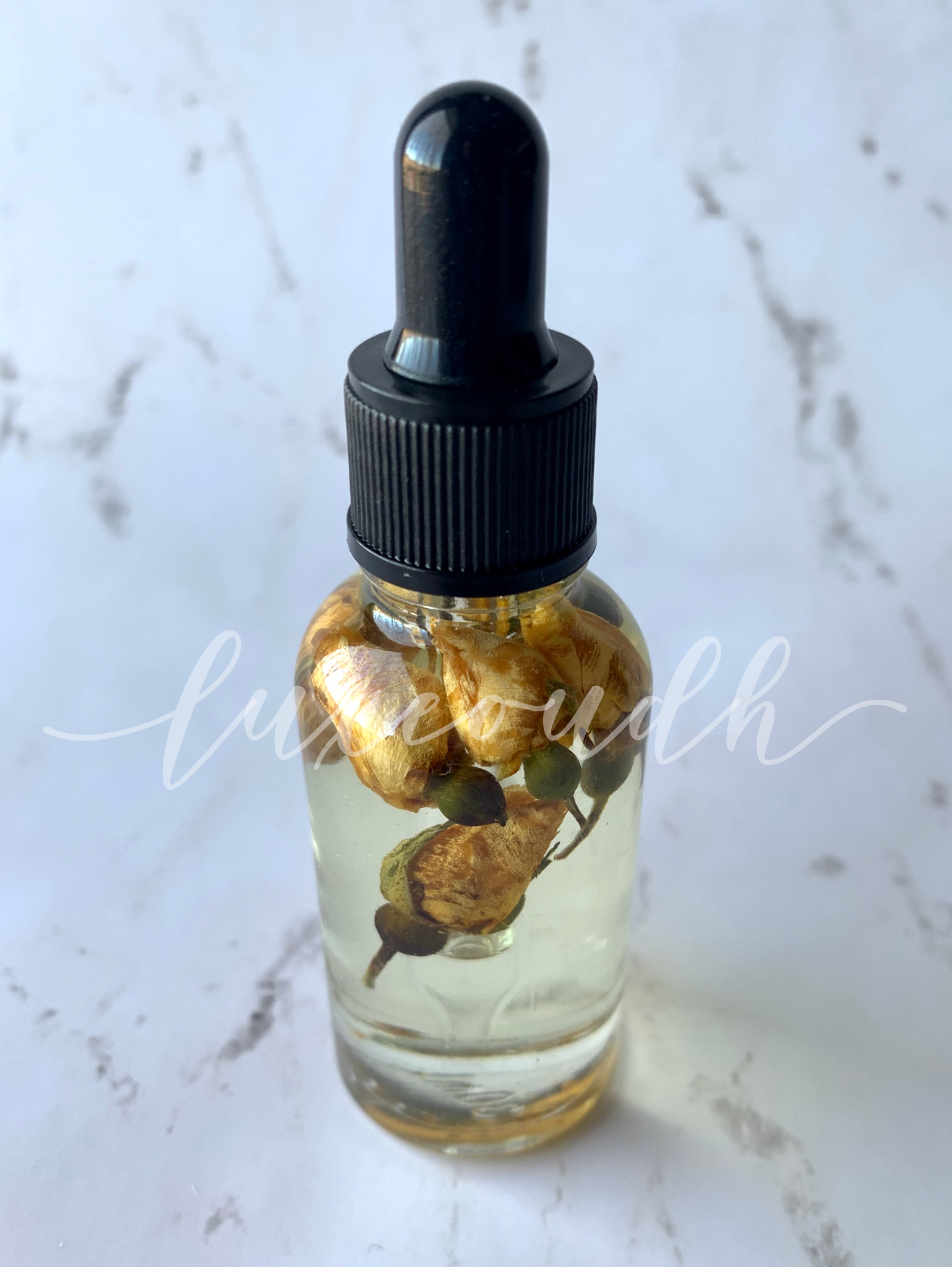 03C6235E-190F-4BCF-A6BF-91F8746FE022