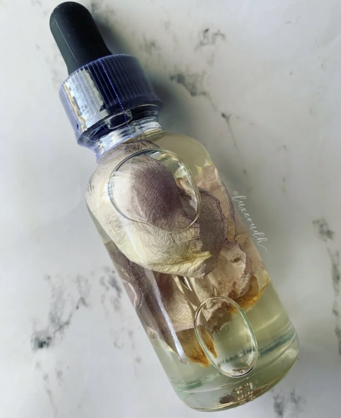 B29310E9-FE3F-40E3-B7D2-AC9D39BE5A5E