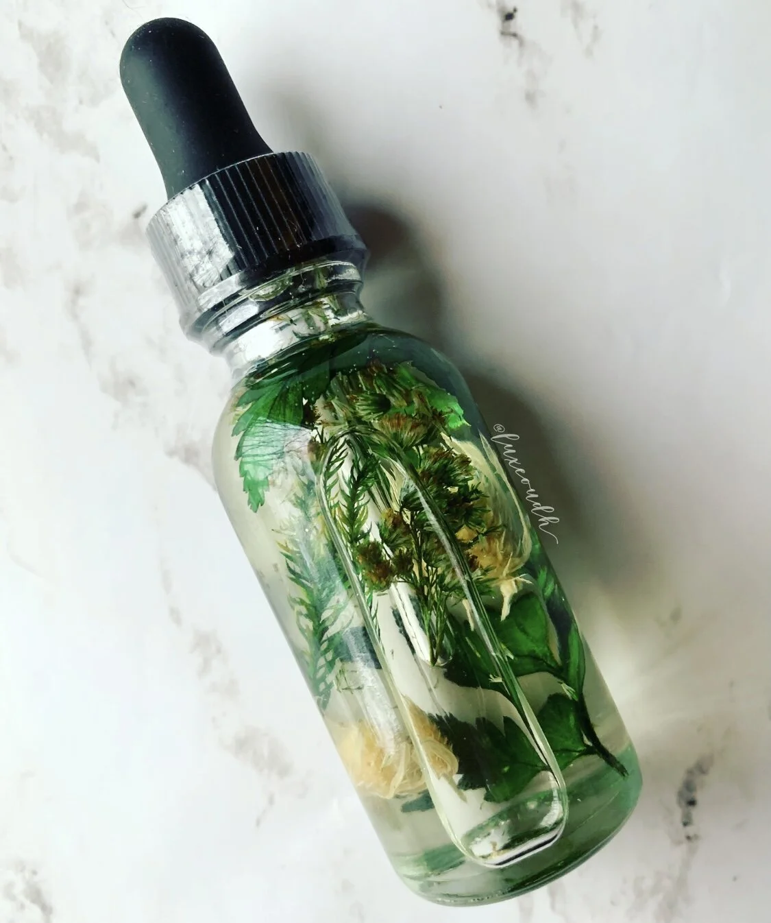 FA1A75DC-0477-4519-93F4-AA0F1A76991C