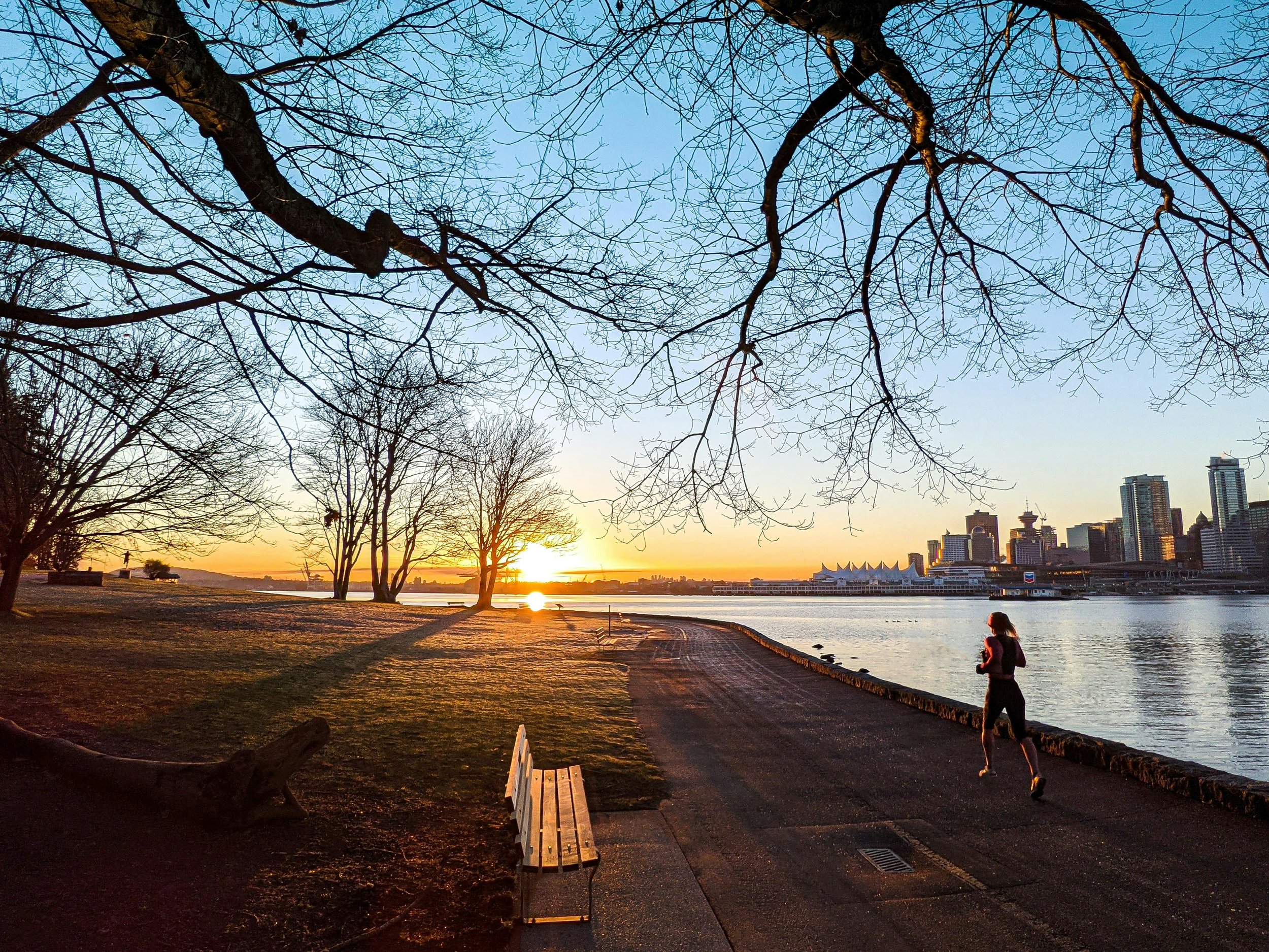 A woman running along a riverpath during sunset, with city skyline in the background and trees with bare branches overhead.