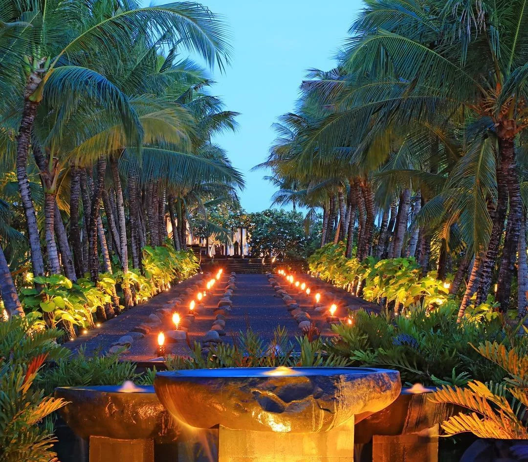 A pathway through a tropical garden lined with palm trees and illuminated by small lights on either side, leading towards a building in the background, with a stone fountain at the front.