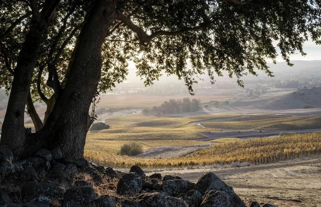 Duckhorn &amp; Kosta Browne Tasting Tuesday