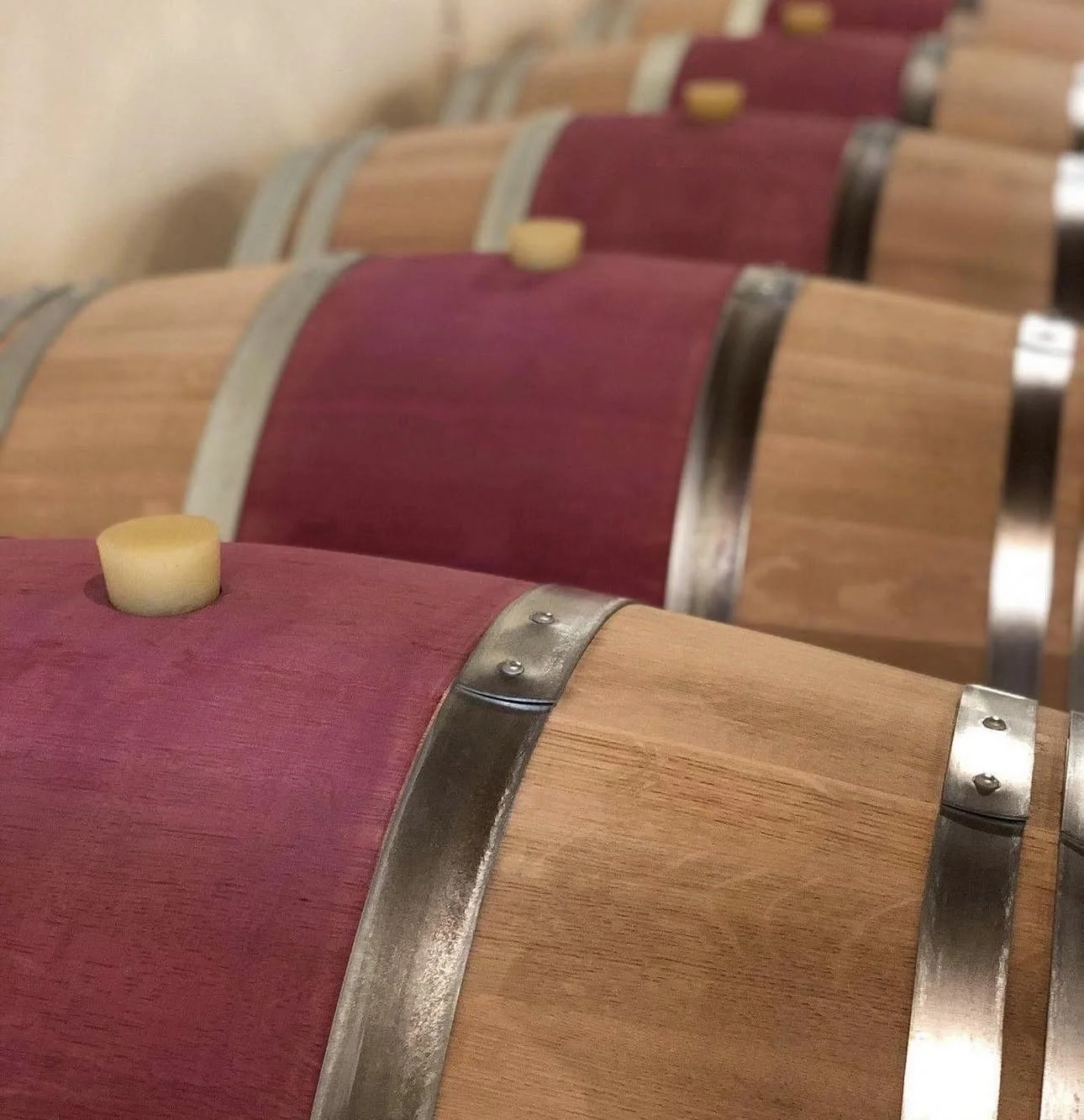 French Tasting Tuesday