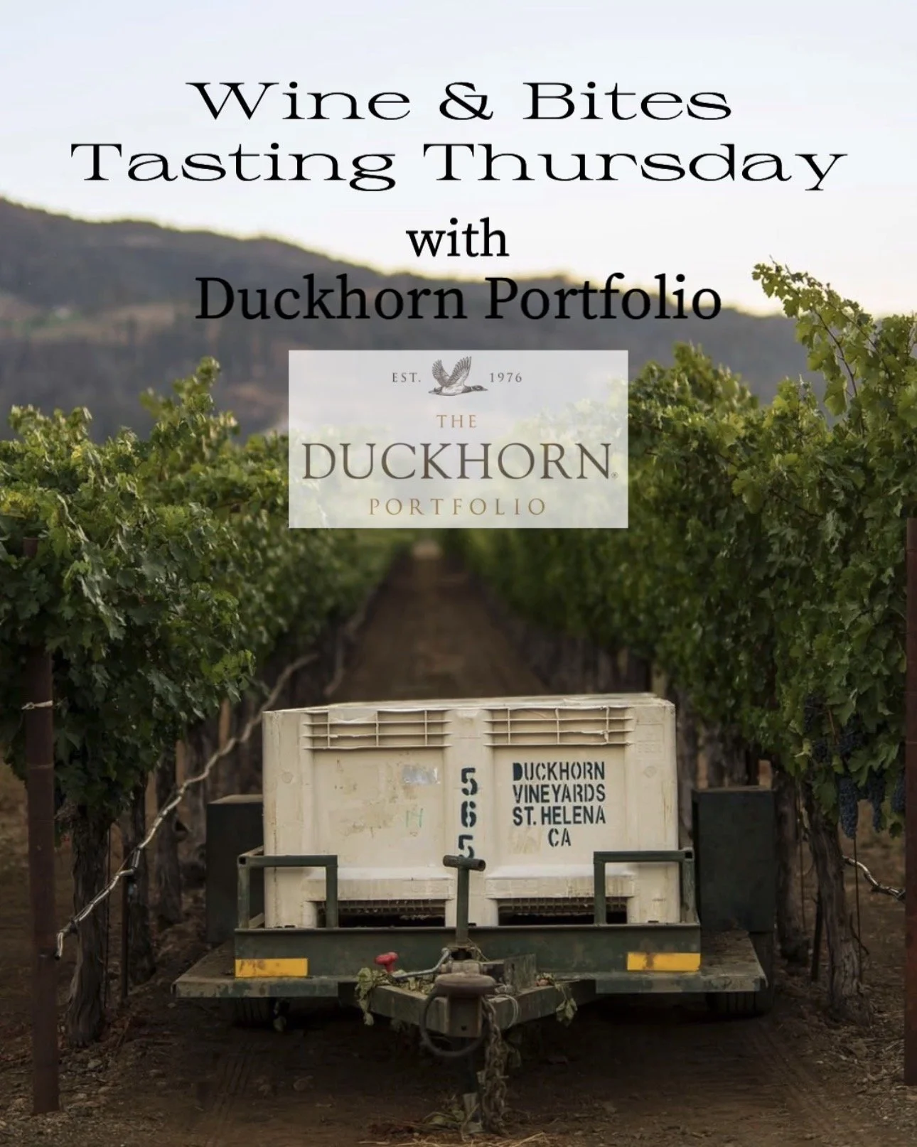 Duckhorn Portfolio Wine &amp; Bites Tasting Thursday