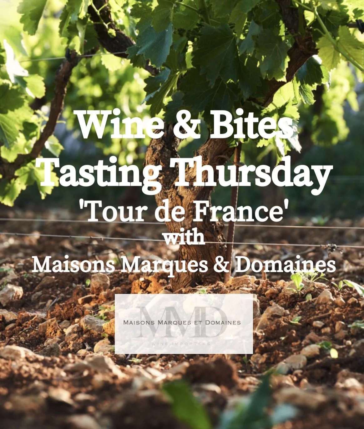French Wine &amp; Bites Tasting Thursday