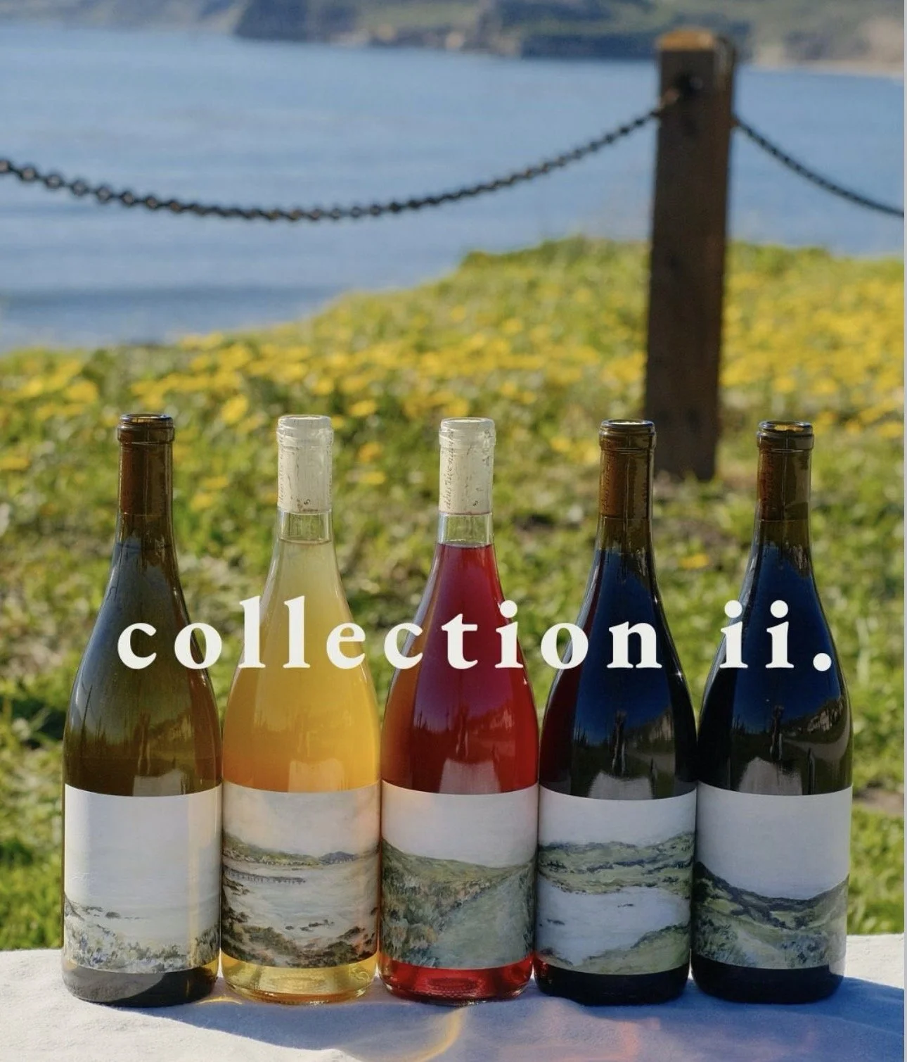 Winemaker's Tasting Tuesday with Idola Wine Co.