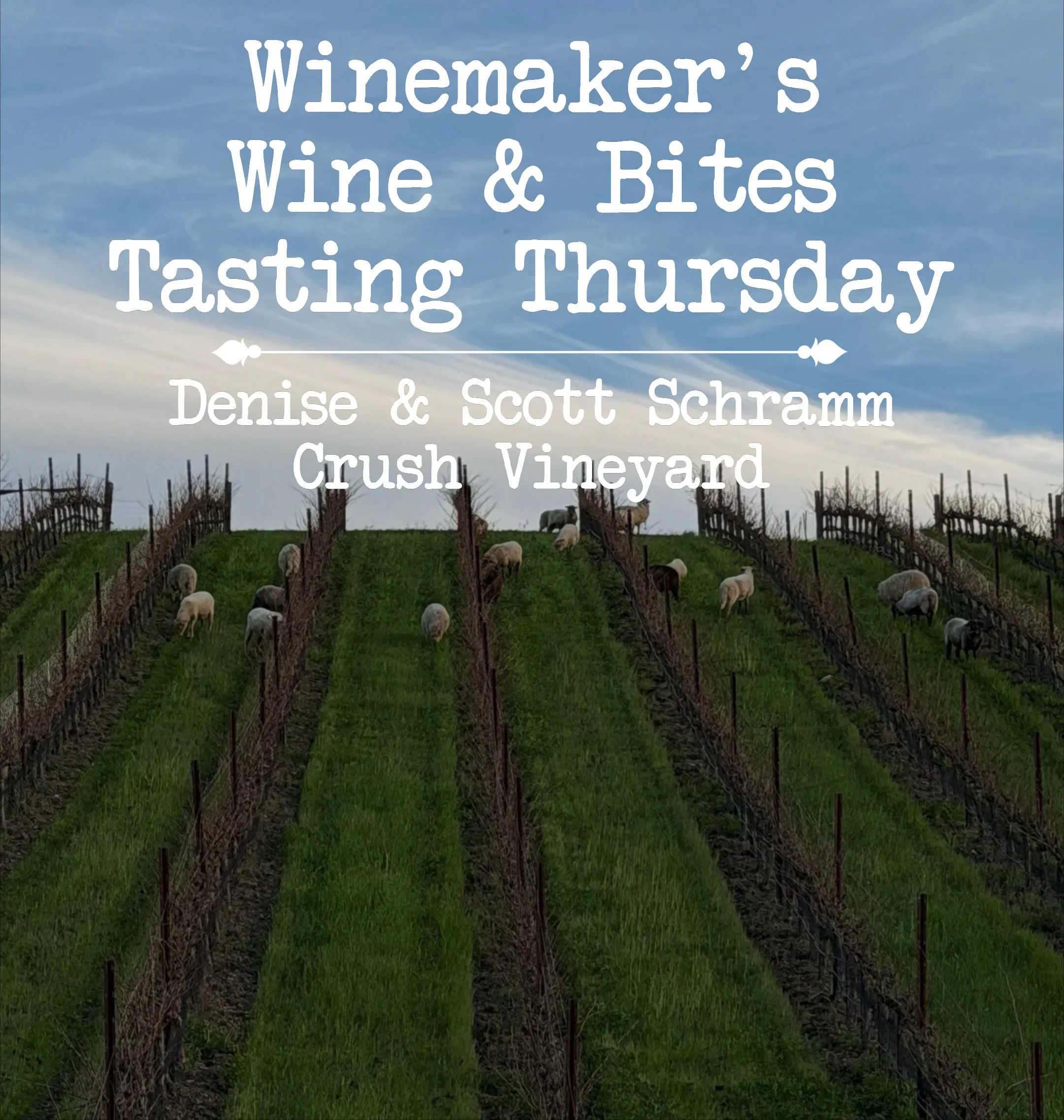 Winemakers' Wine &amp; Bites Tasting Thursday