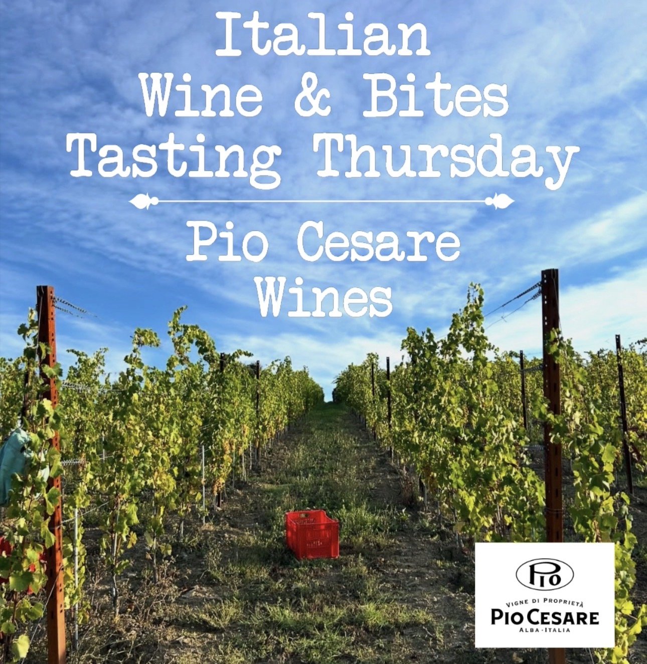 Pio Cesare Wine &amp; Bites Tasting Thursday
