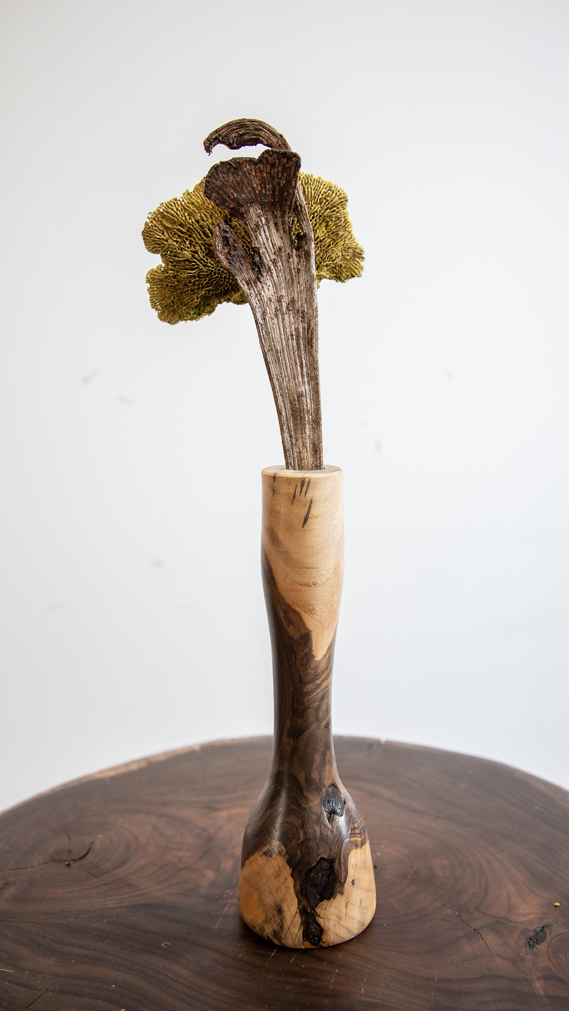 Young Walnut Vase