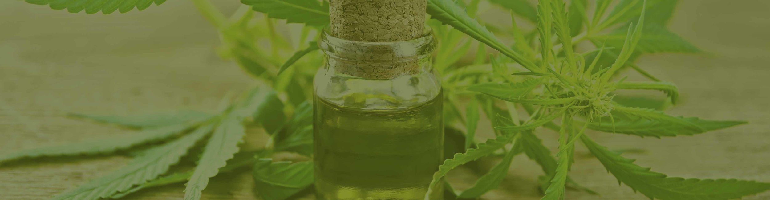CBD_oil_image+3.jpg
