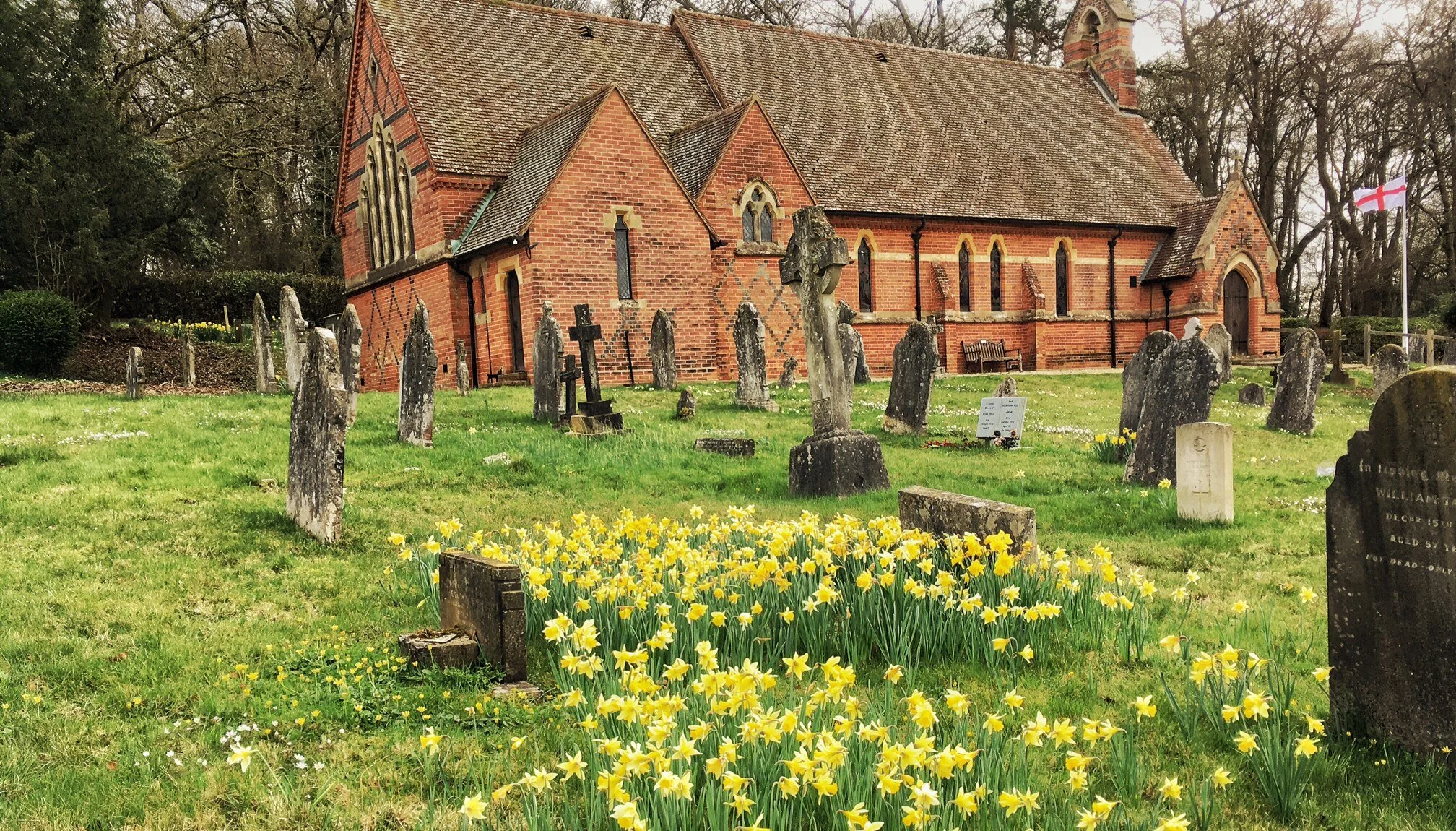 CCED Image to use.jpg