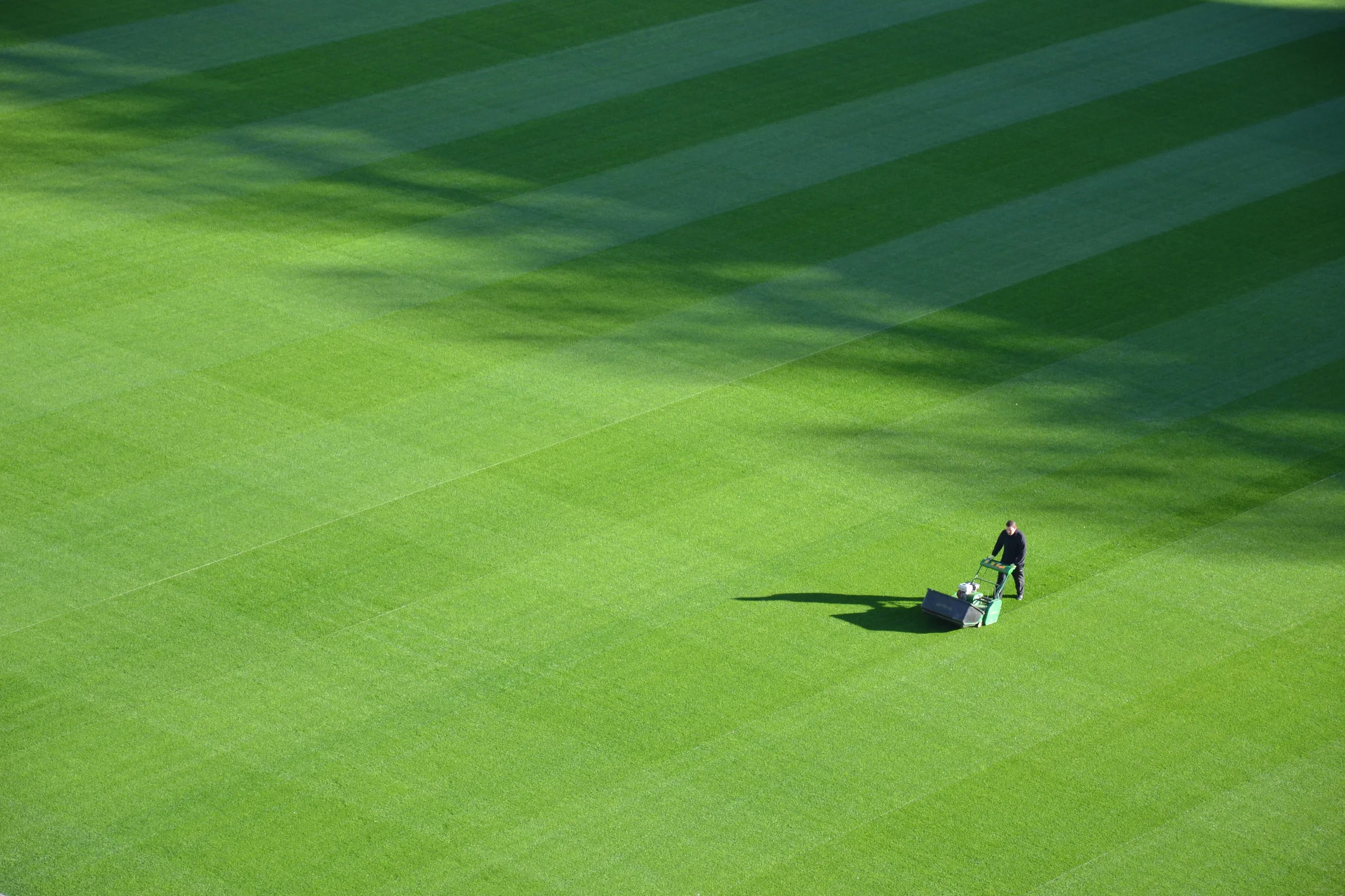 Lawns are Distant Memories (and maybe they should stay that way)