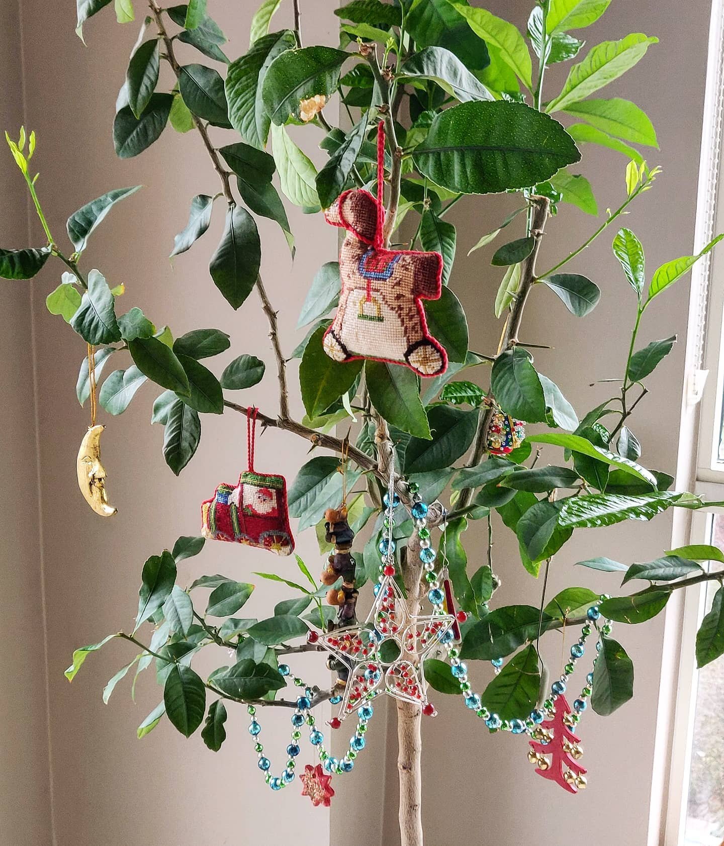 Behold Lulu: the festive, solstice, cruelty-free lemon tree 🍋

There are 10 ornaments on Lulu as part of her holiday drag decor: if you can find and name them all... then you clearly needed to take that break from your day for a merry puzzle 🤓 

Fo