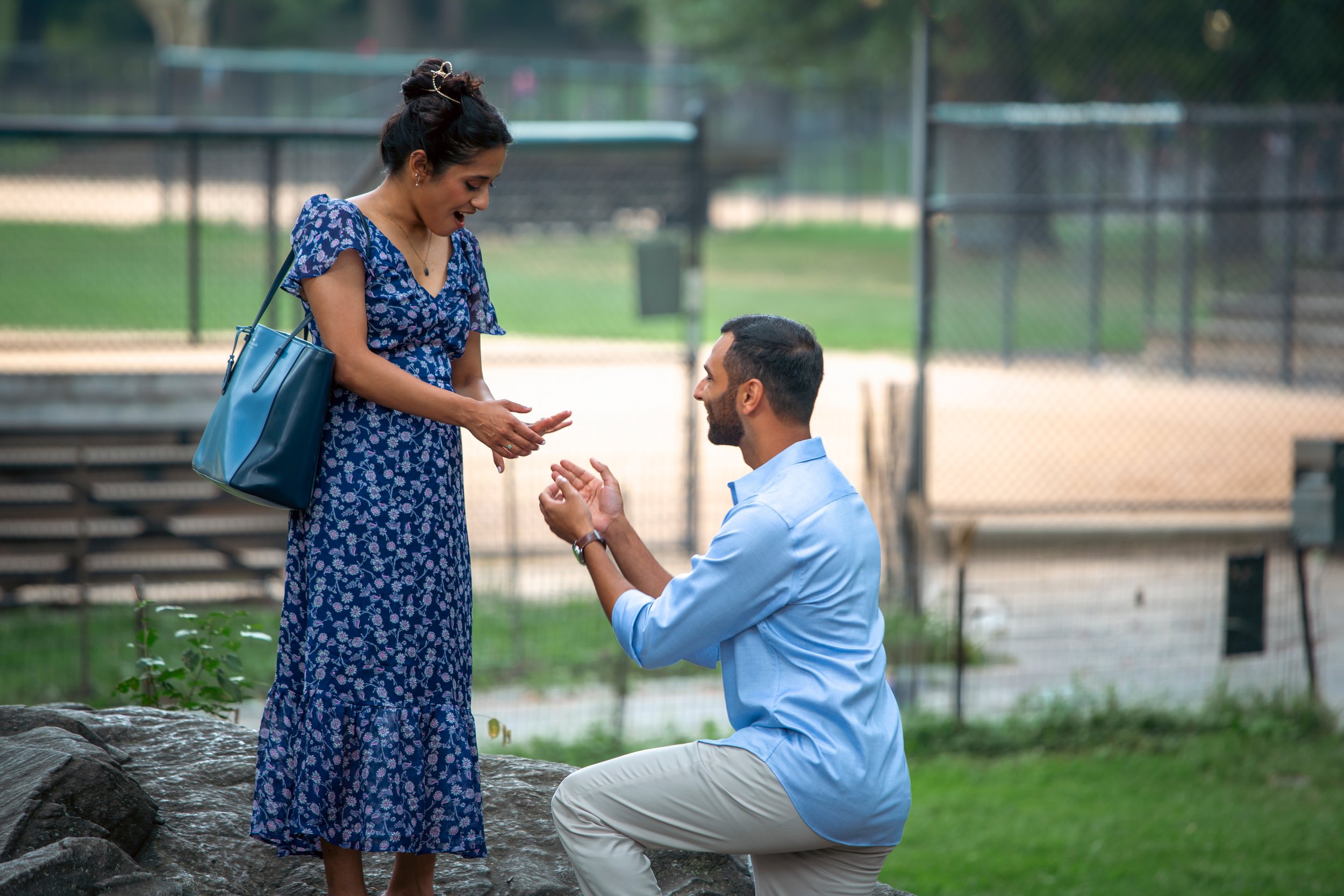 Central Park Proposal35.jpg