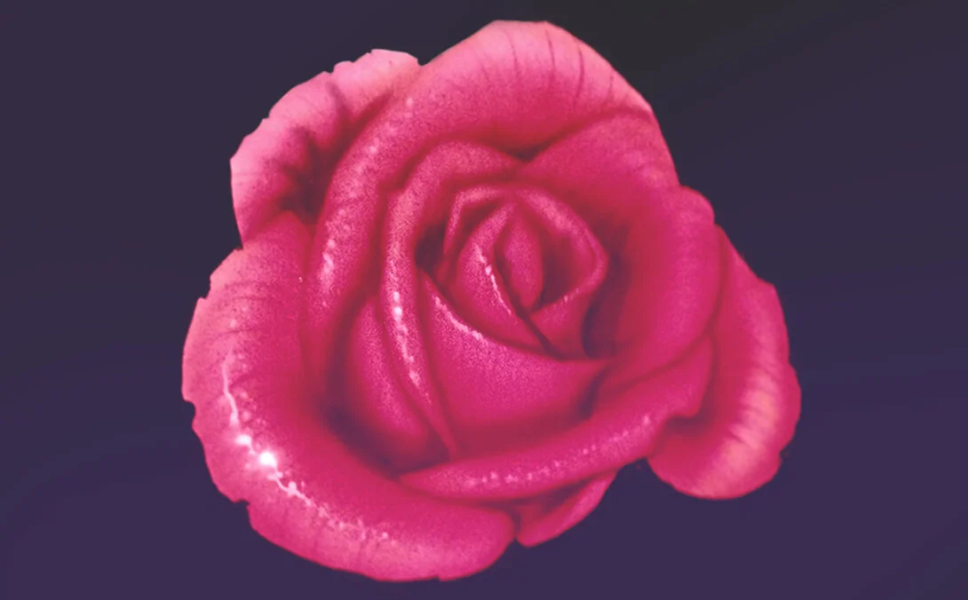 Rose Airbrush.jpg