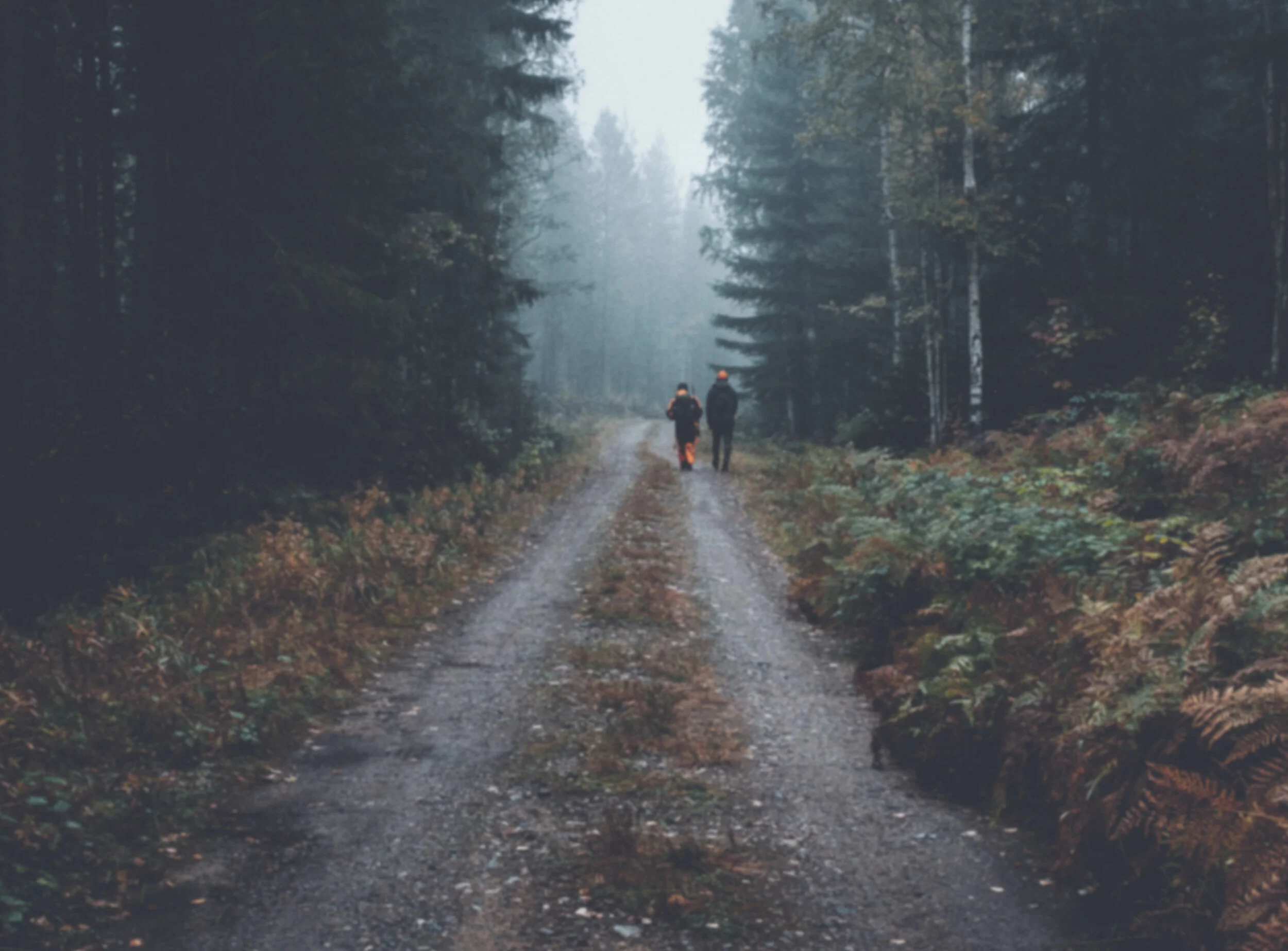 Header Background.jpg