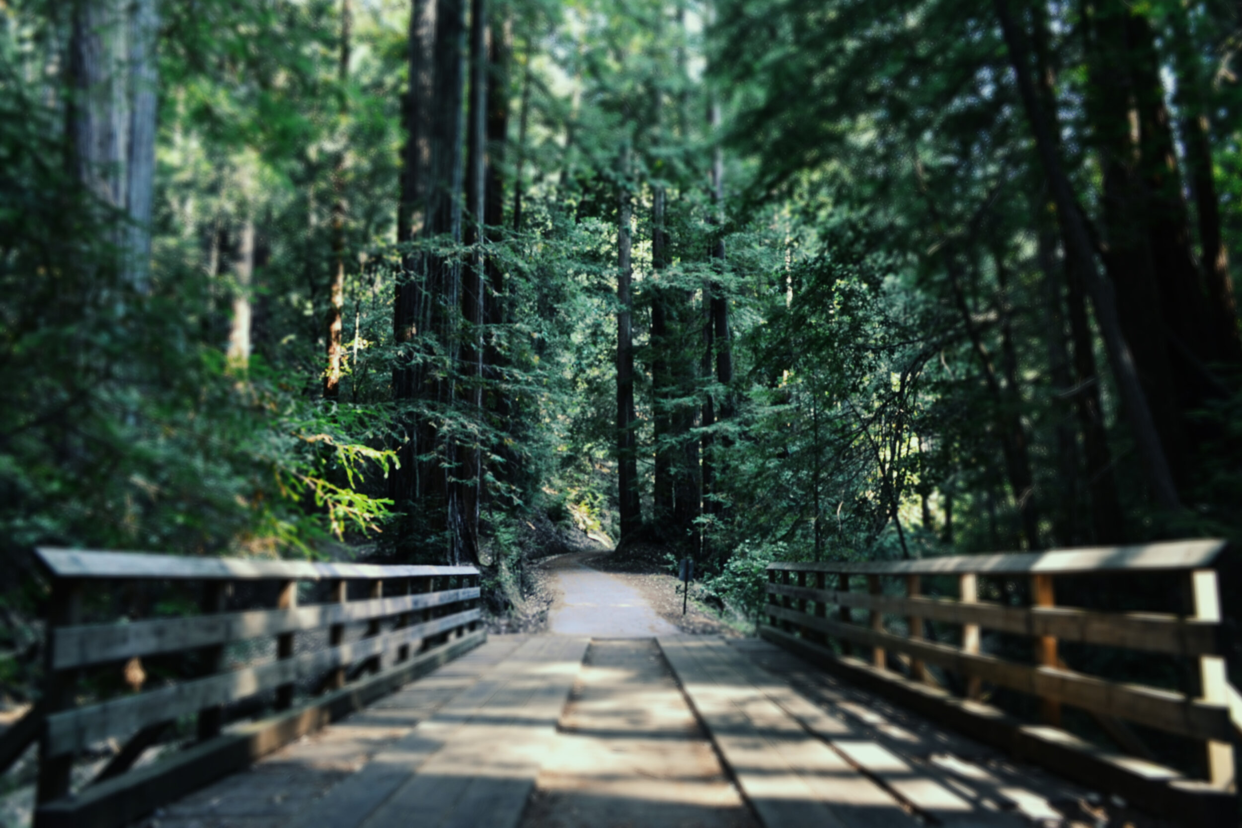 Background Header.jpg