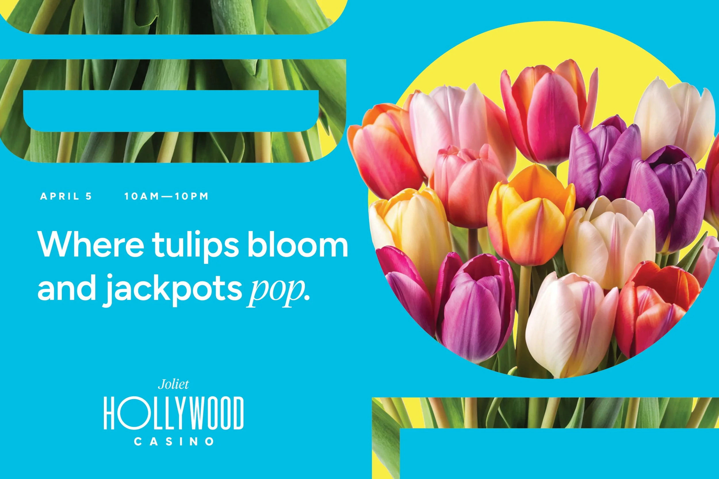 CORP_Jan2026_SeasonalToolkit_Easter_CreativeToolkit - 267723-6x9-Promo-Mailer_04.jpg