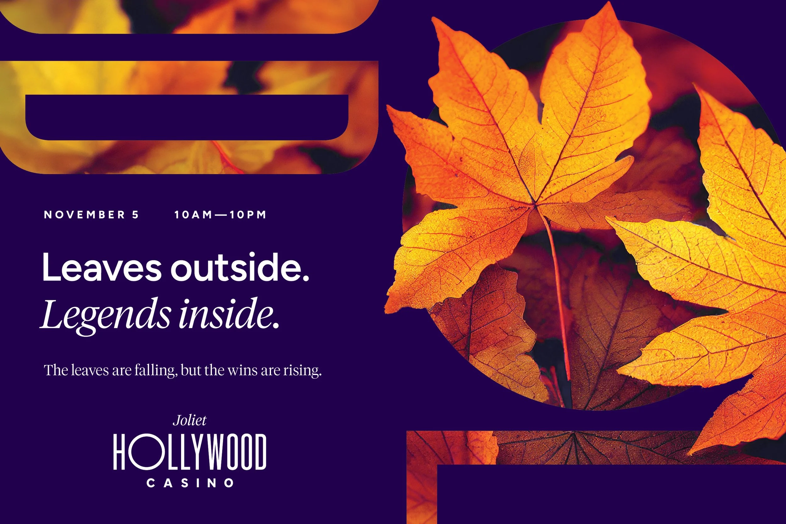 Fall-Promo-Mailer_02.jpg
