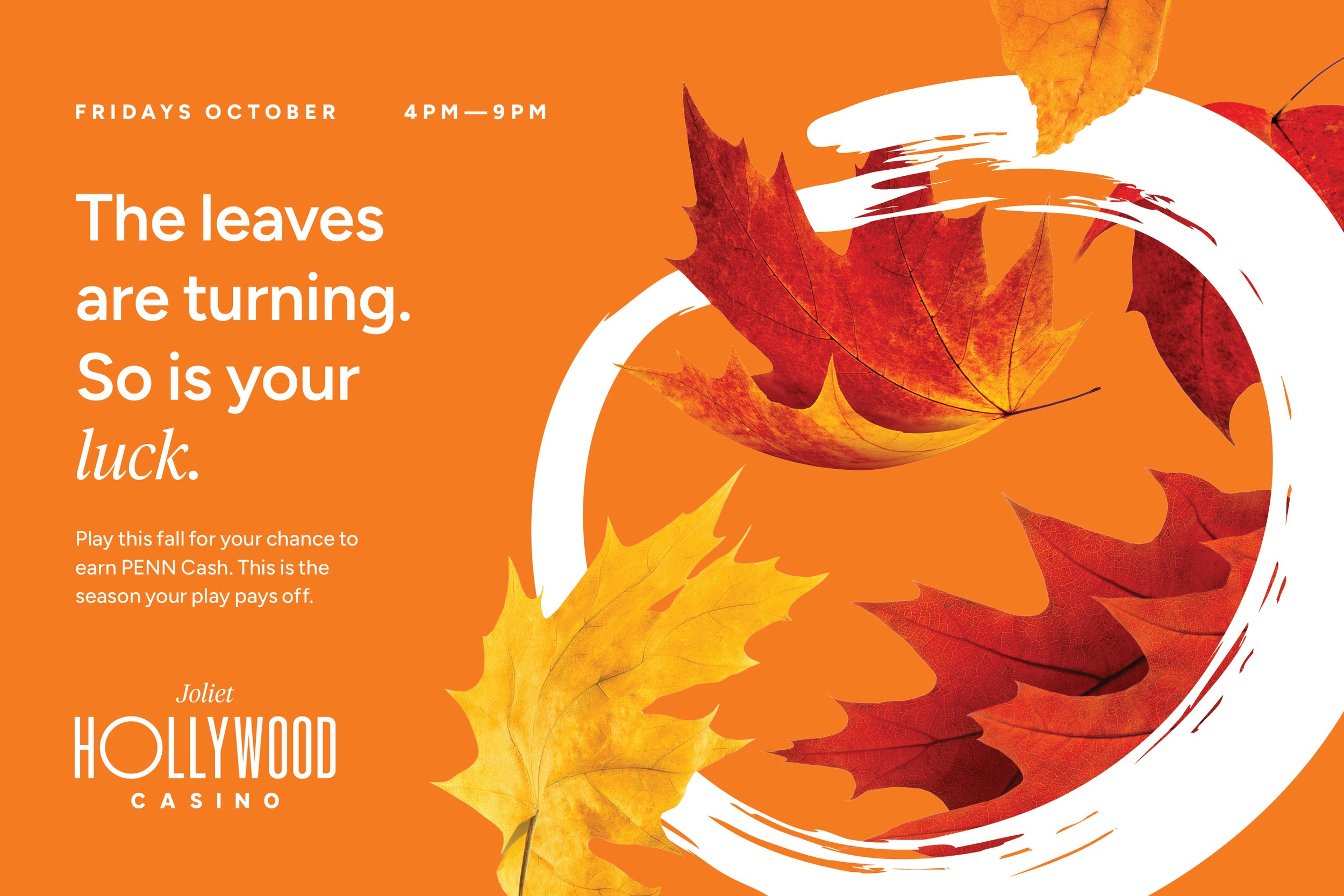 Fall-Promo-Mailer_03.jpg