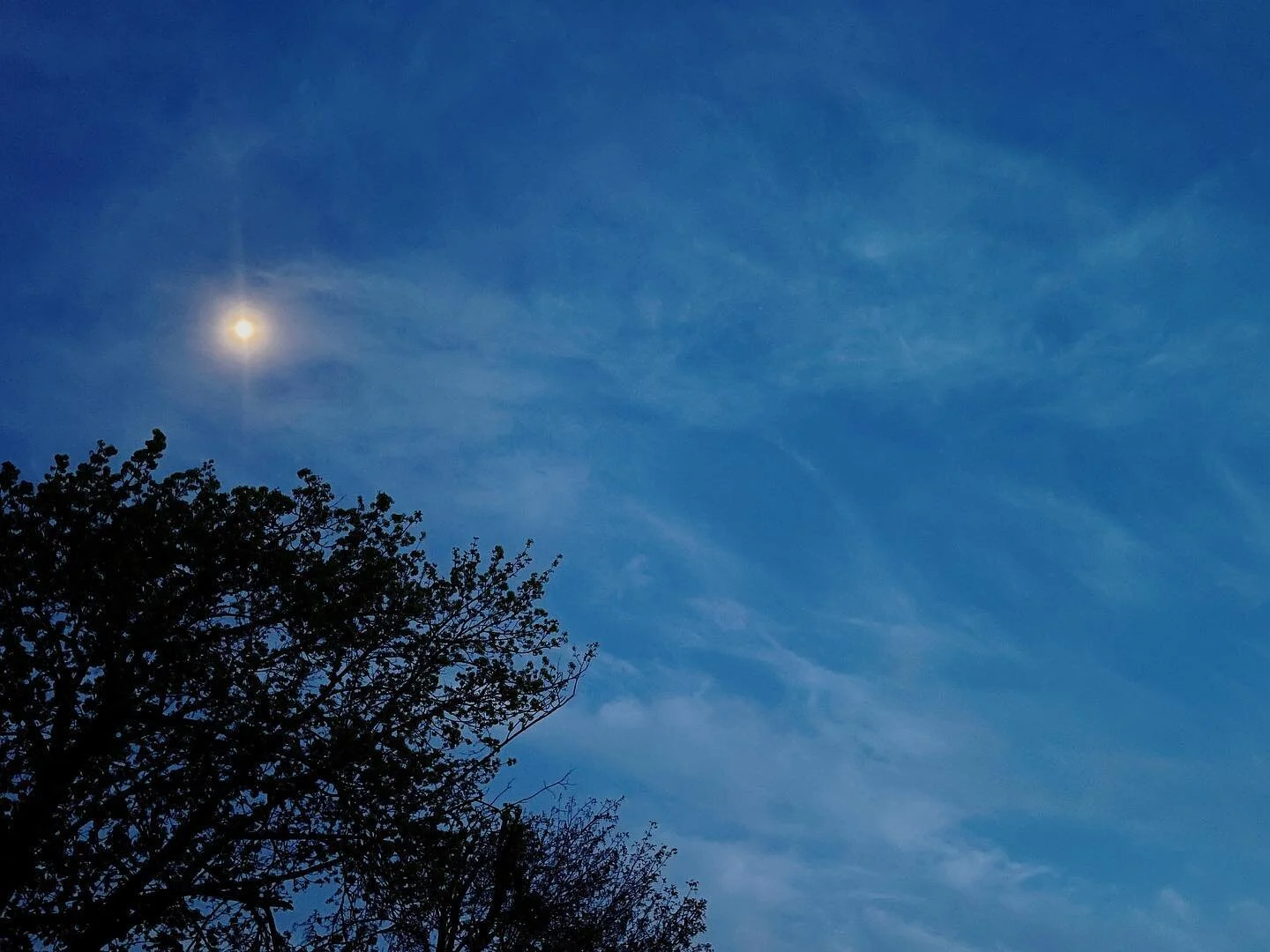 &ldquo;Keep looking up&rdquo; @startalk