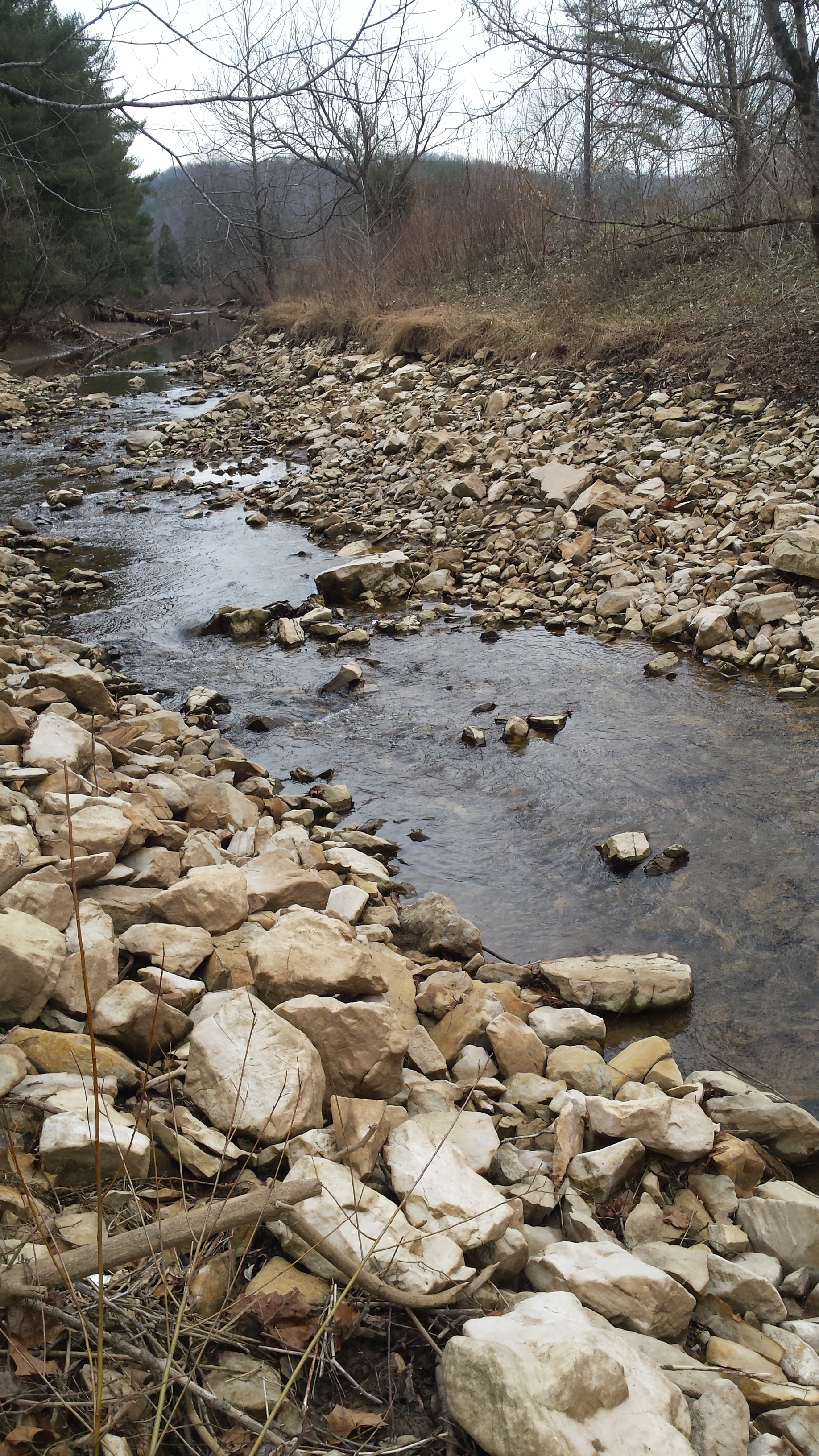 West Virginia