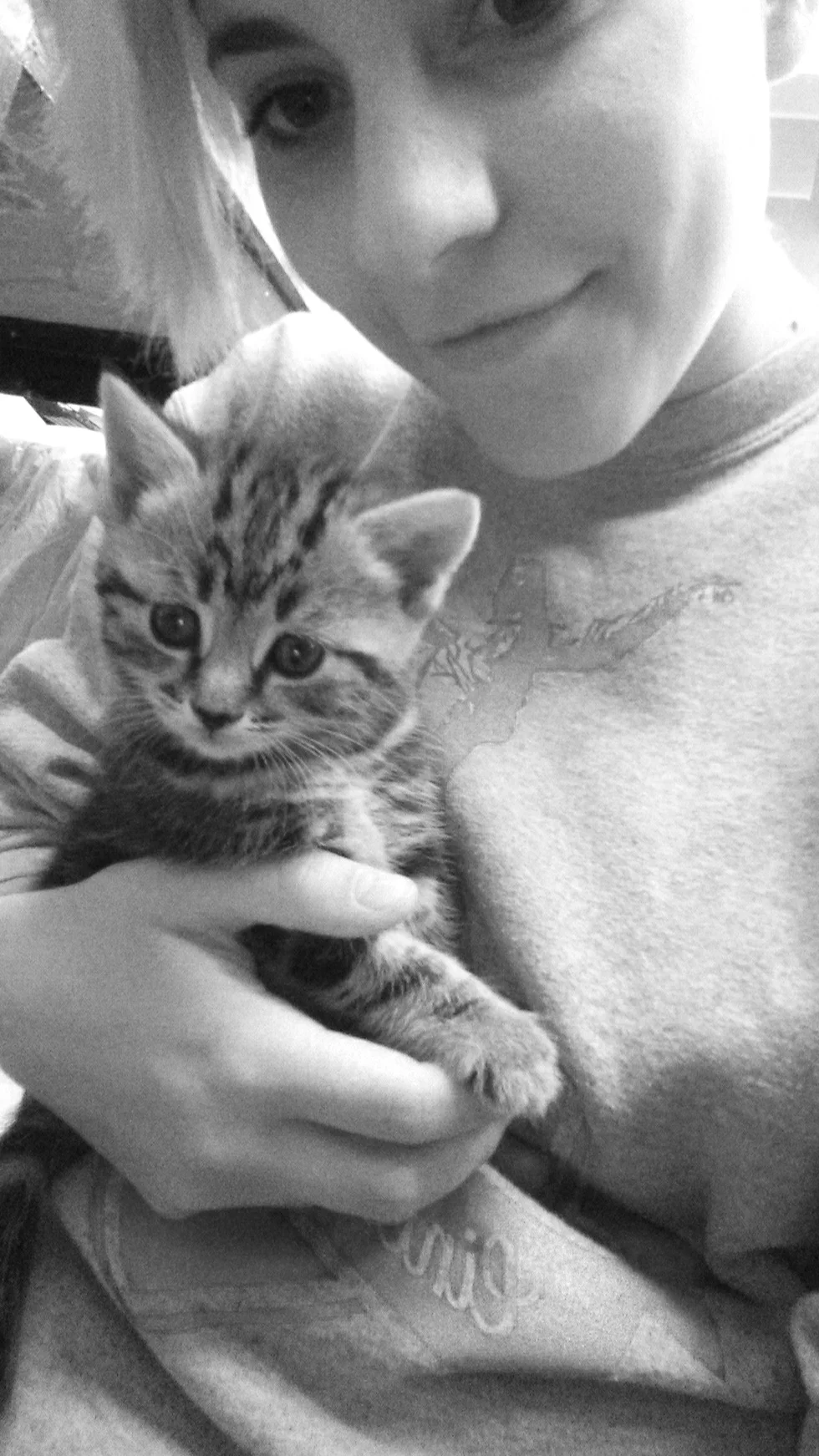 The biggest distraction at the studio, AKA Biscuit.