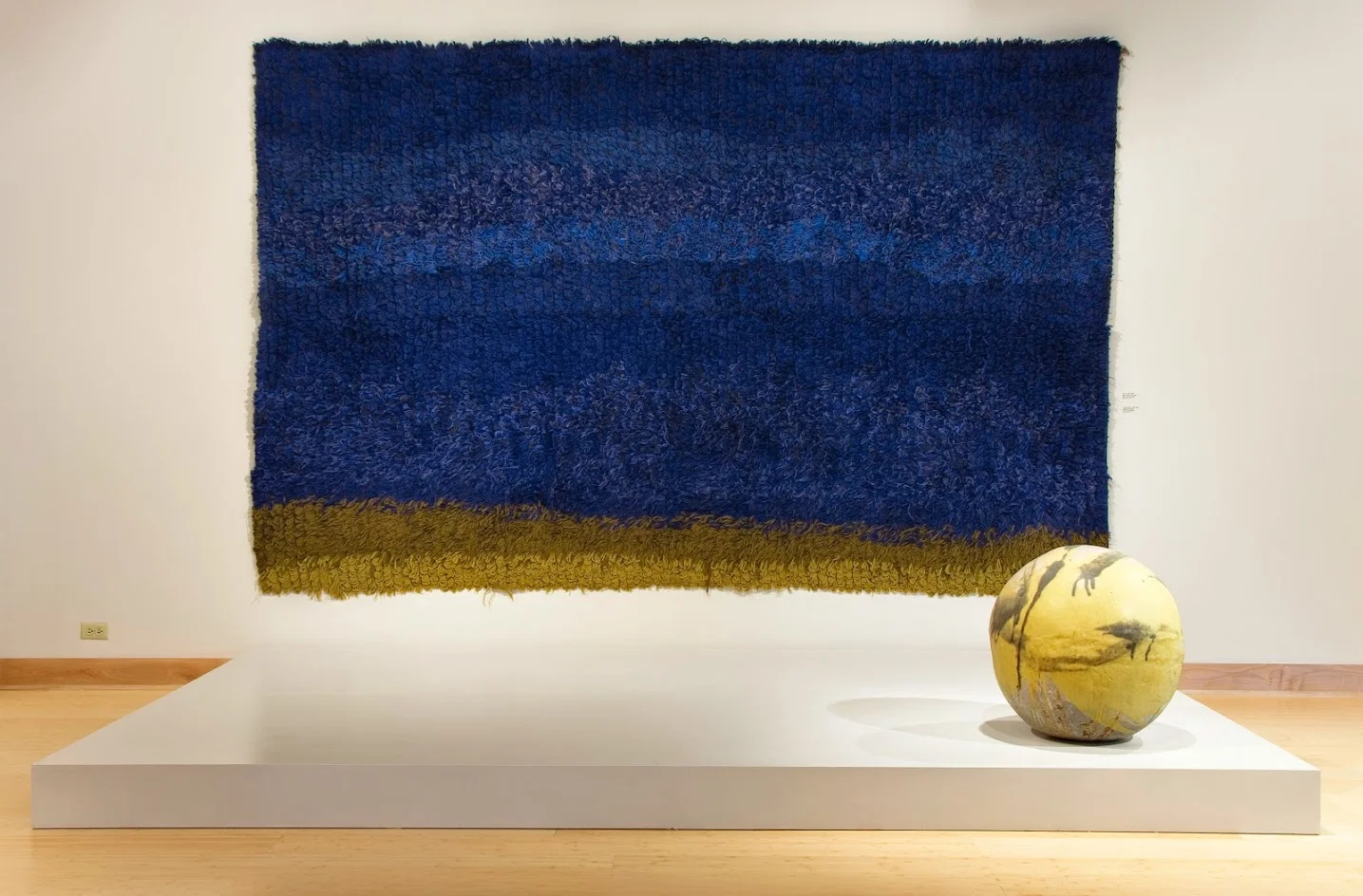 "Ao-Ao" (pictured with Lemon Moon)