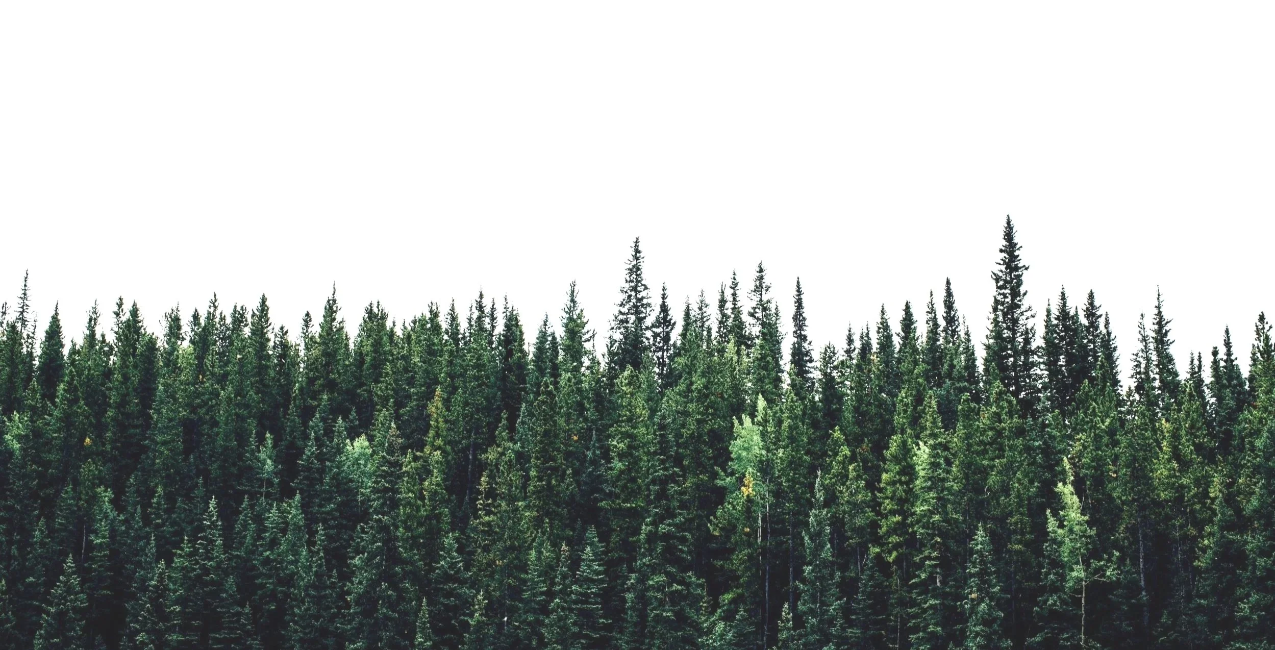 unsplash-image--IZ2sgQKIhM.jpg