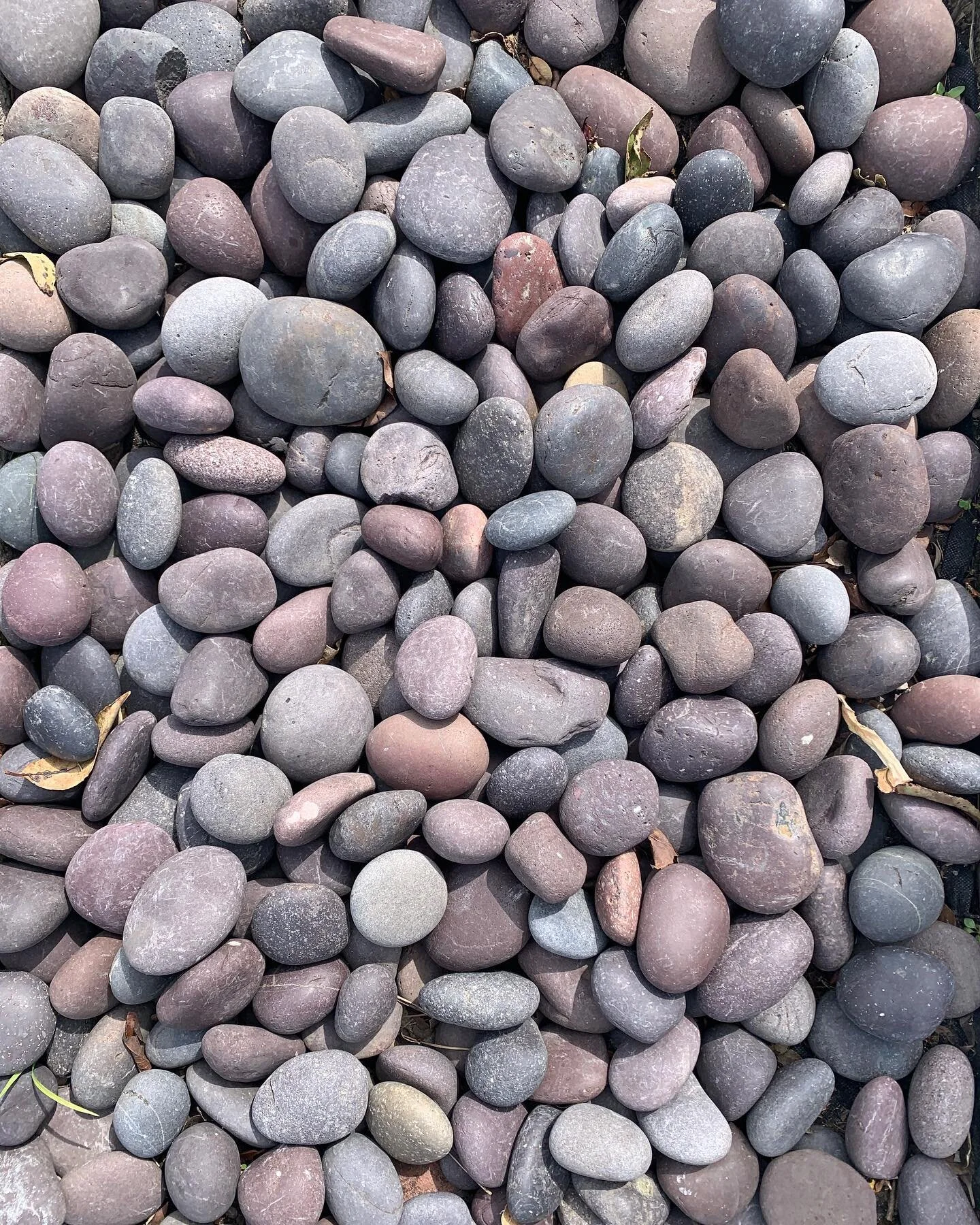 Another #nofilter for lovely SF. Thank you @inthewest for this discovery! Now, who wants to paint using this as an inspiration? Here&rsquo;s the prompt: what colors and shapes do you see?