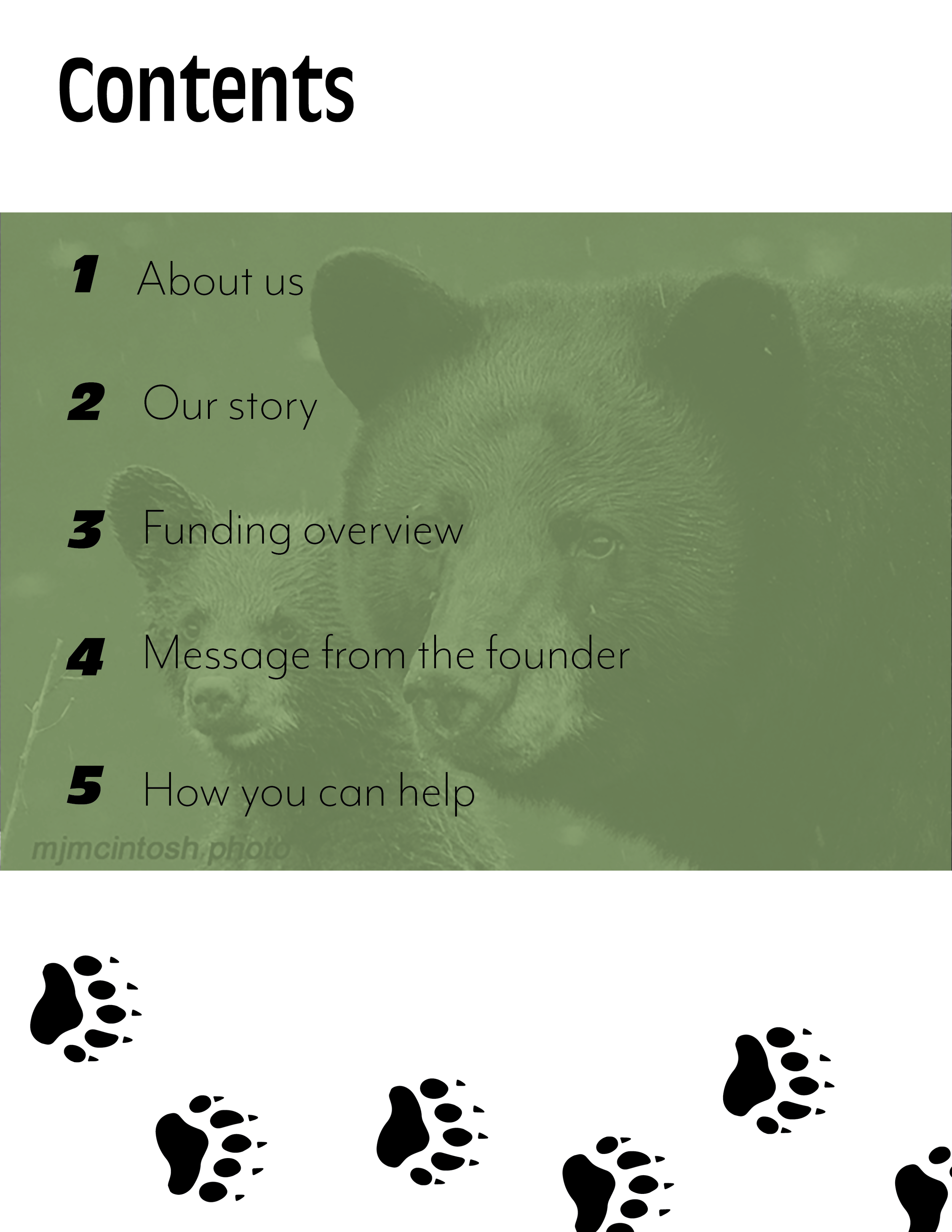 bear with us squarespace2.png