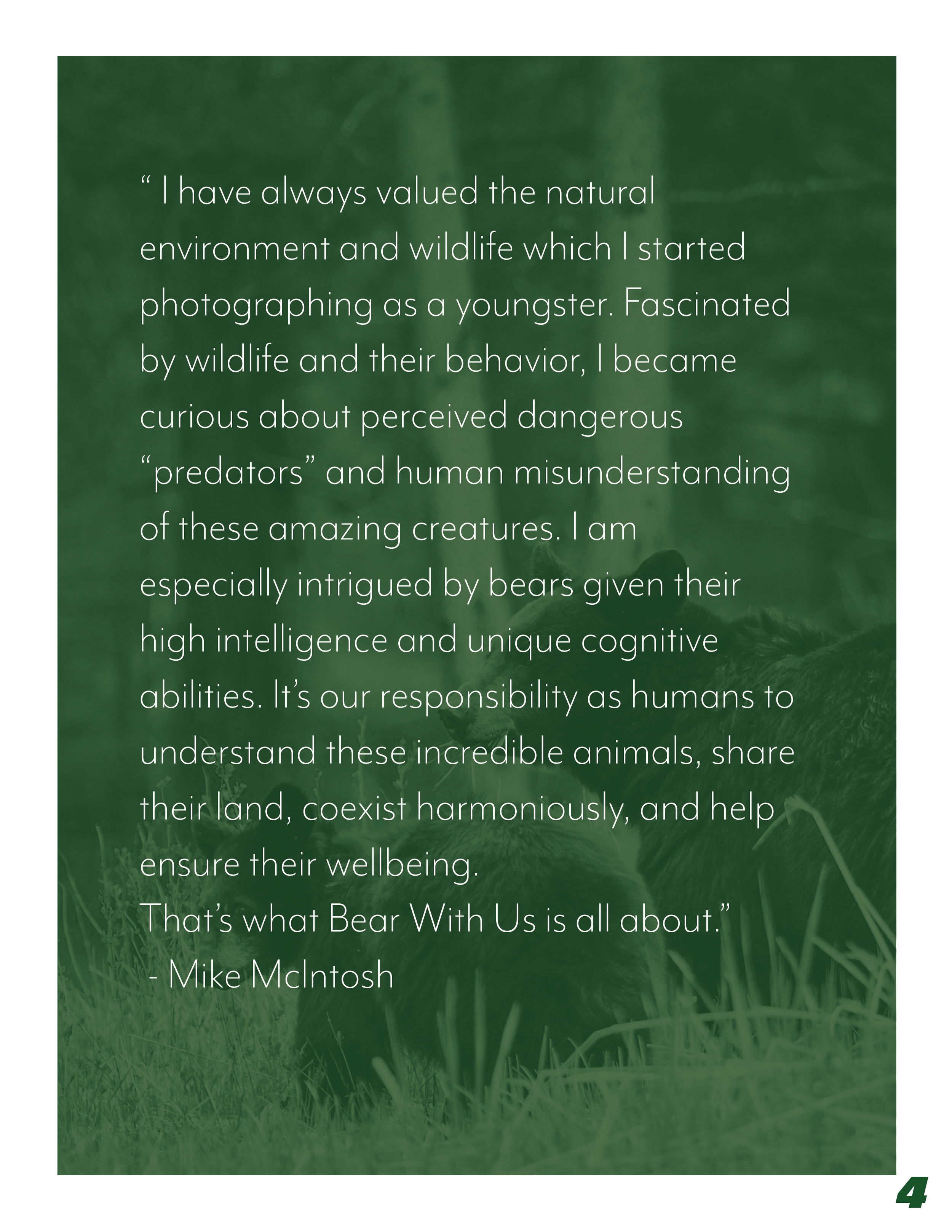 bear with us squarespace6.png