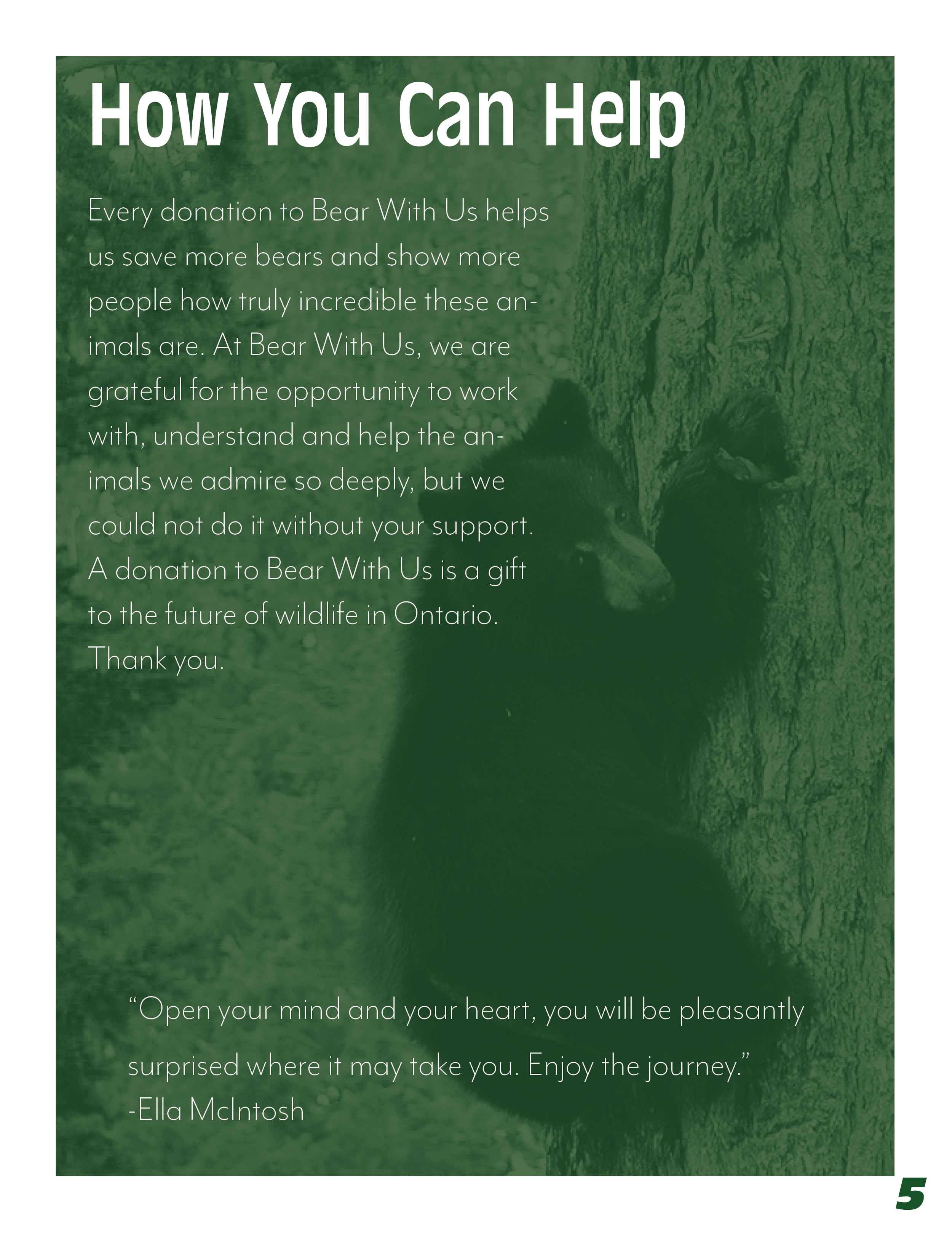 bear with us squarespace7.png