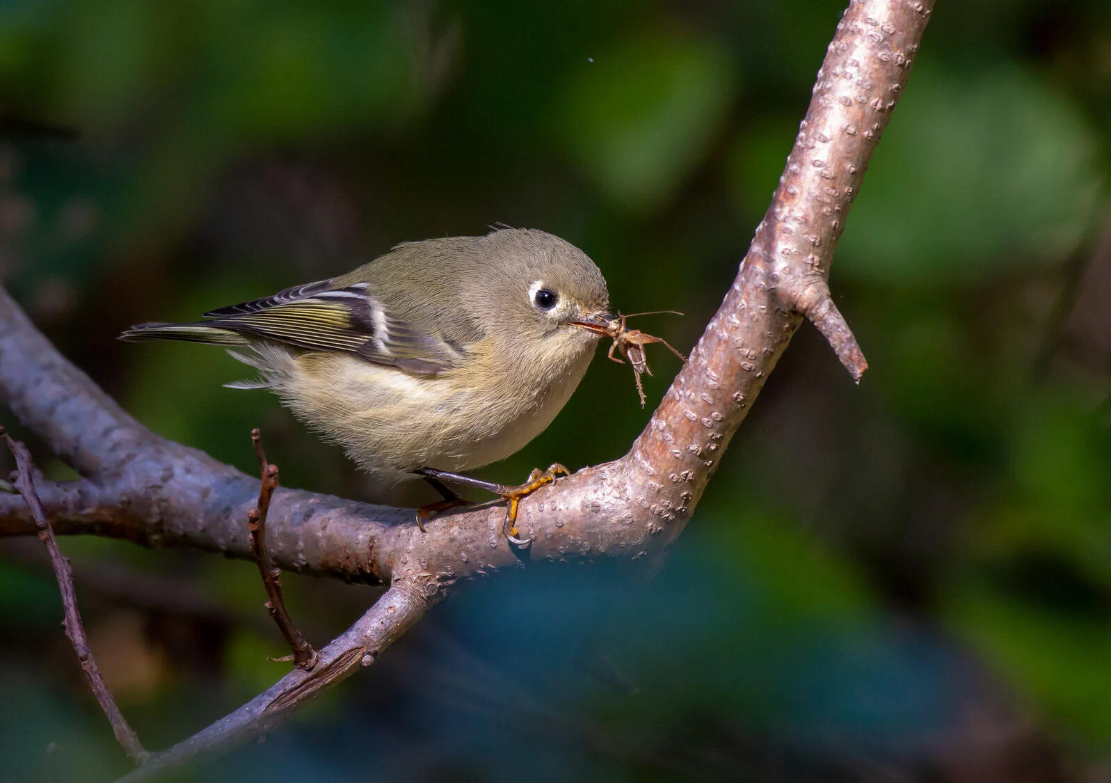 Today’s Climate Actions Must be Followed by Durable Policy Changes