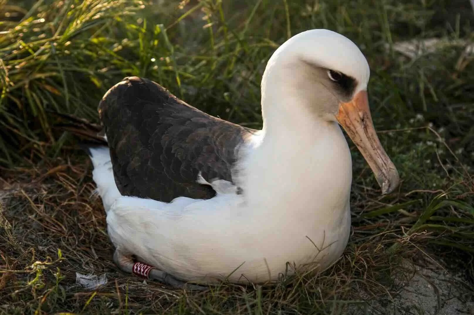 WEB_wisdom_jonbrack_01 (1).jpeg