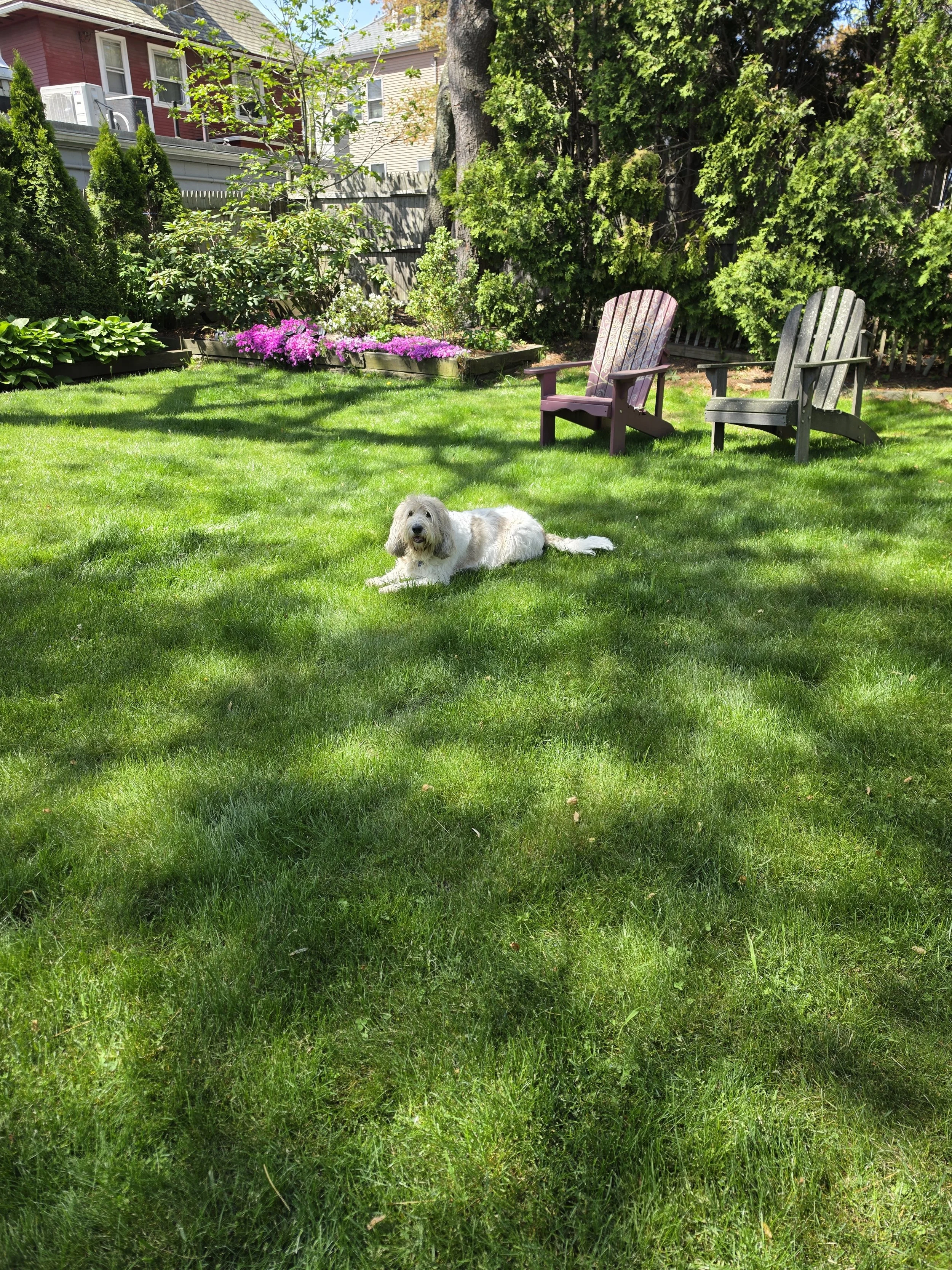 20260516_104620.jpg