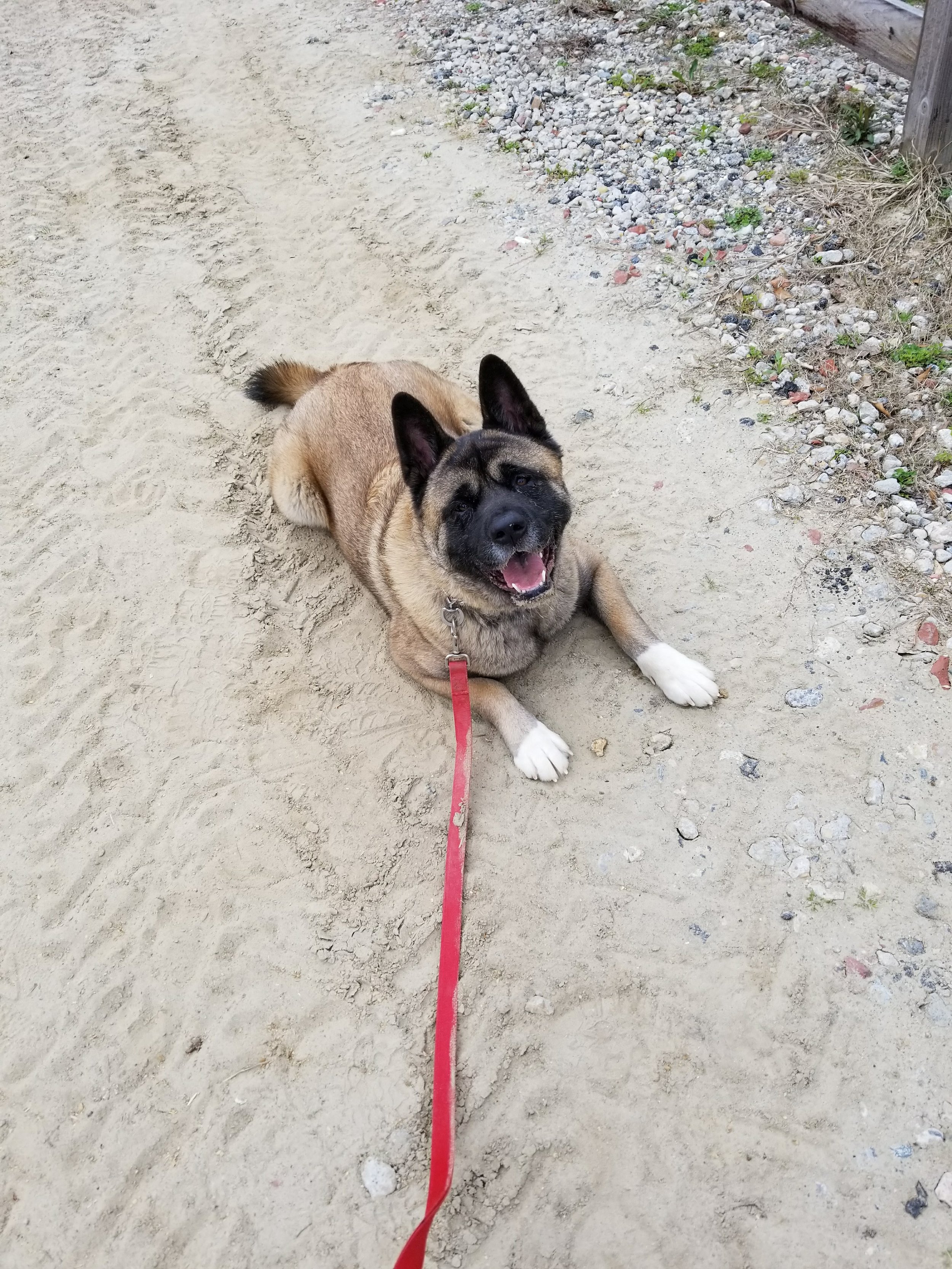 20180402_103937.jpg